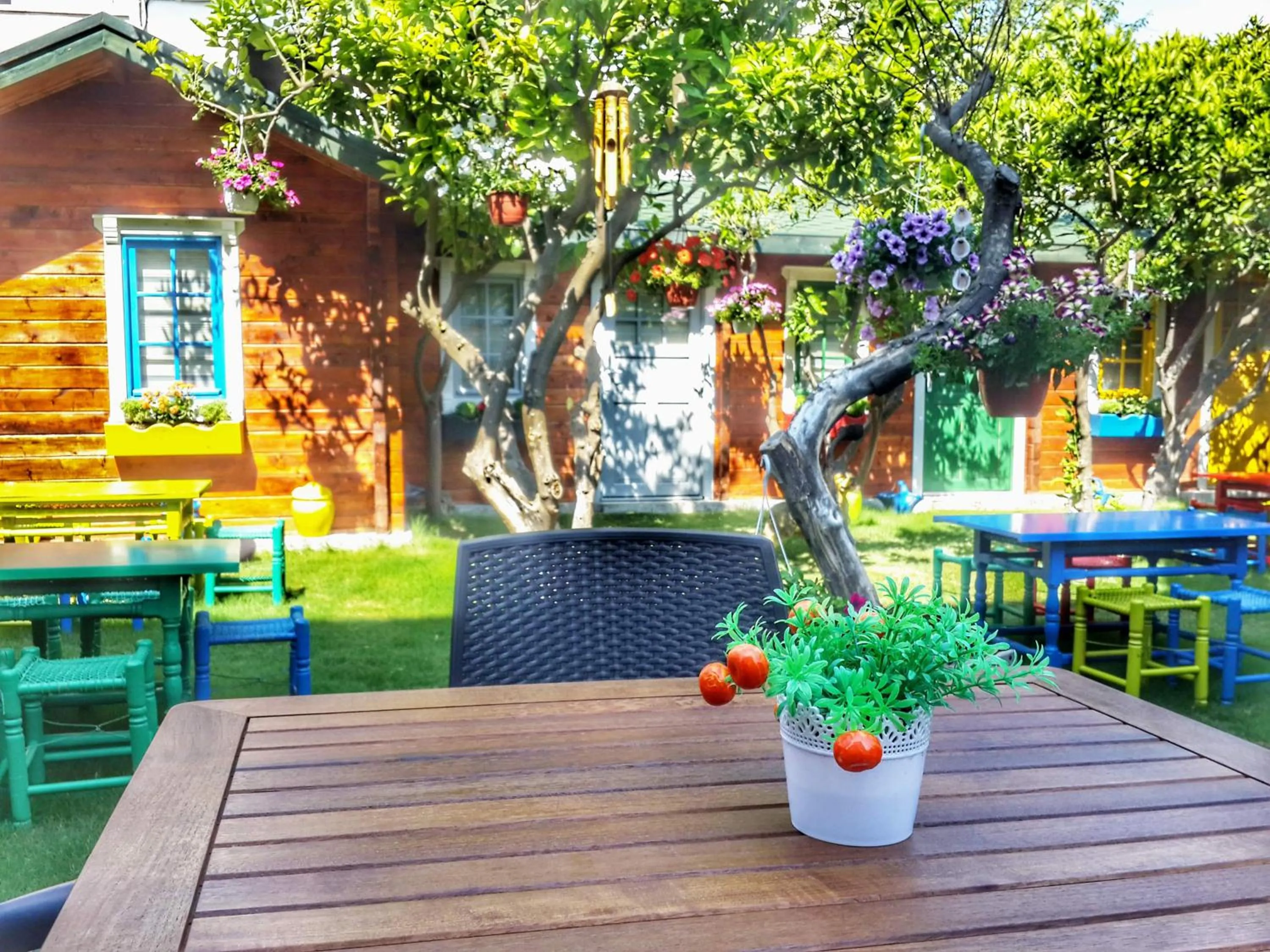 Garden view in Pirlanta Butik Hotel