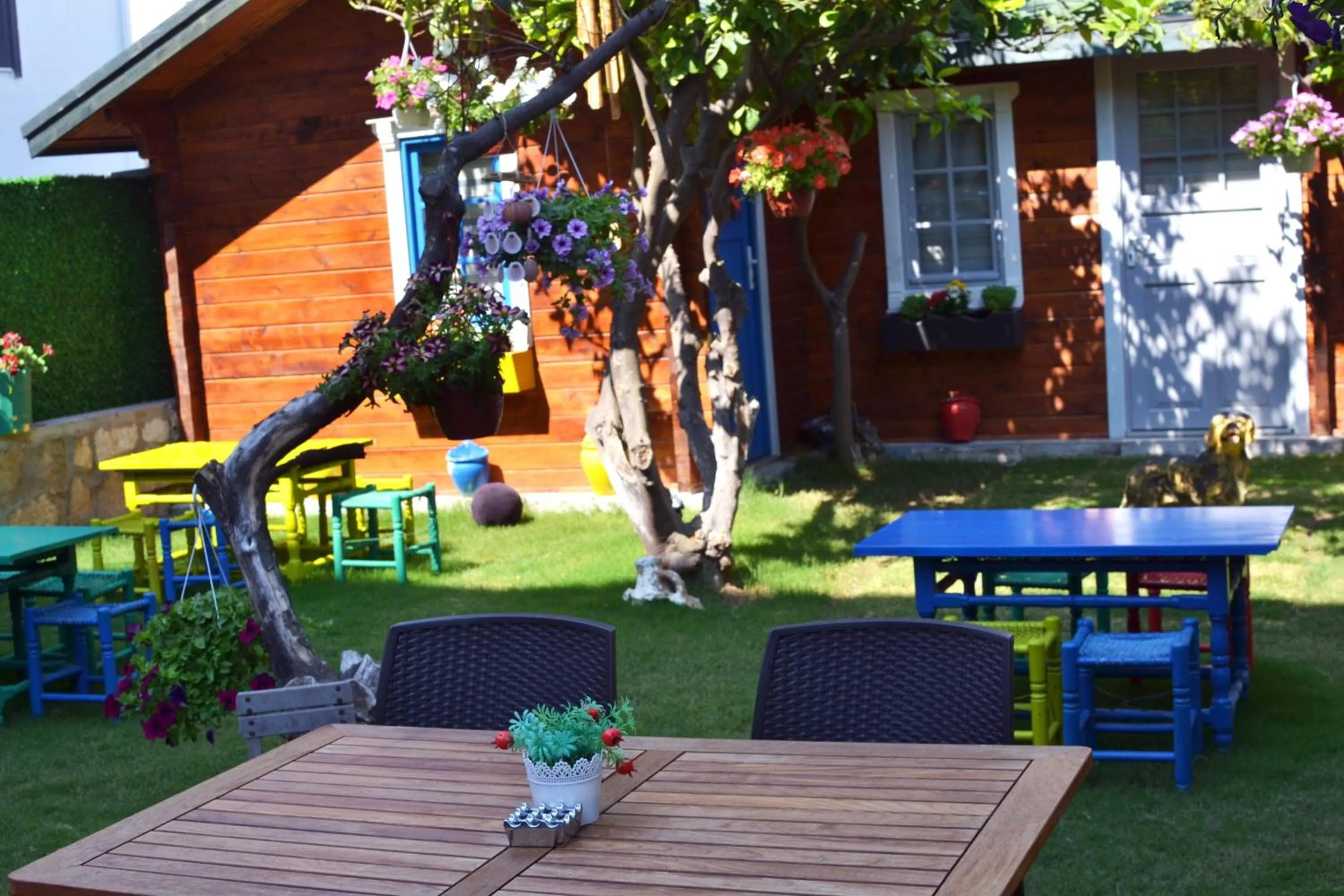 Garden view in Pirlanta Butik Hotel