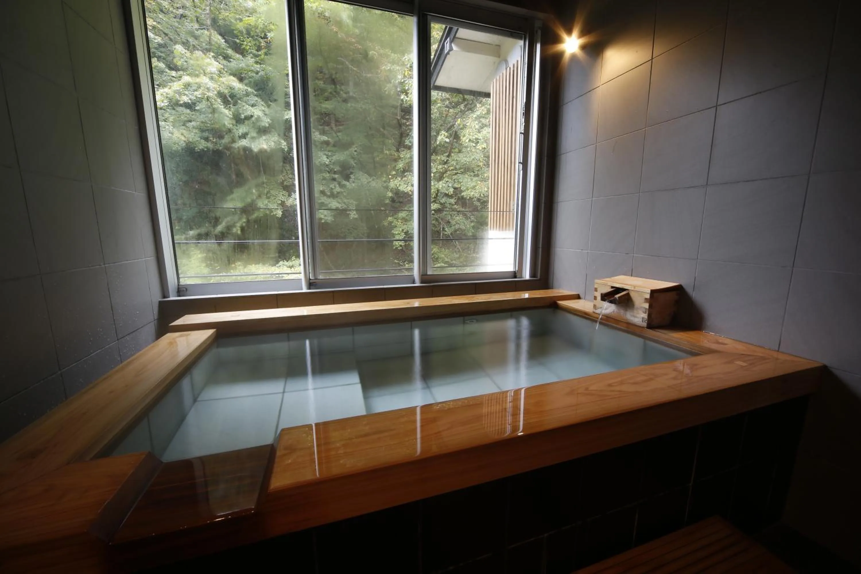 Hot Spring Bath in Hinatamikan