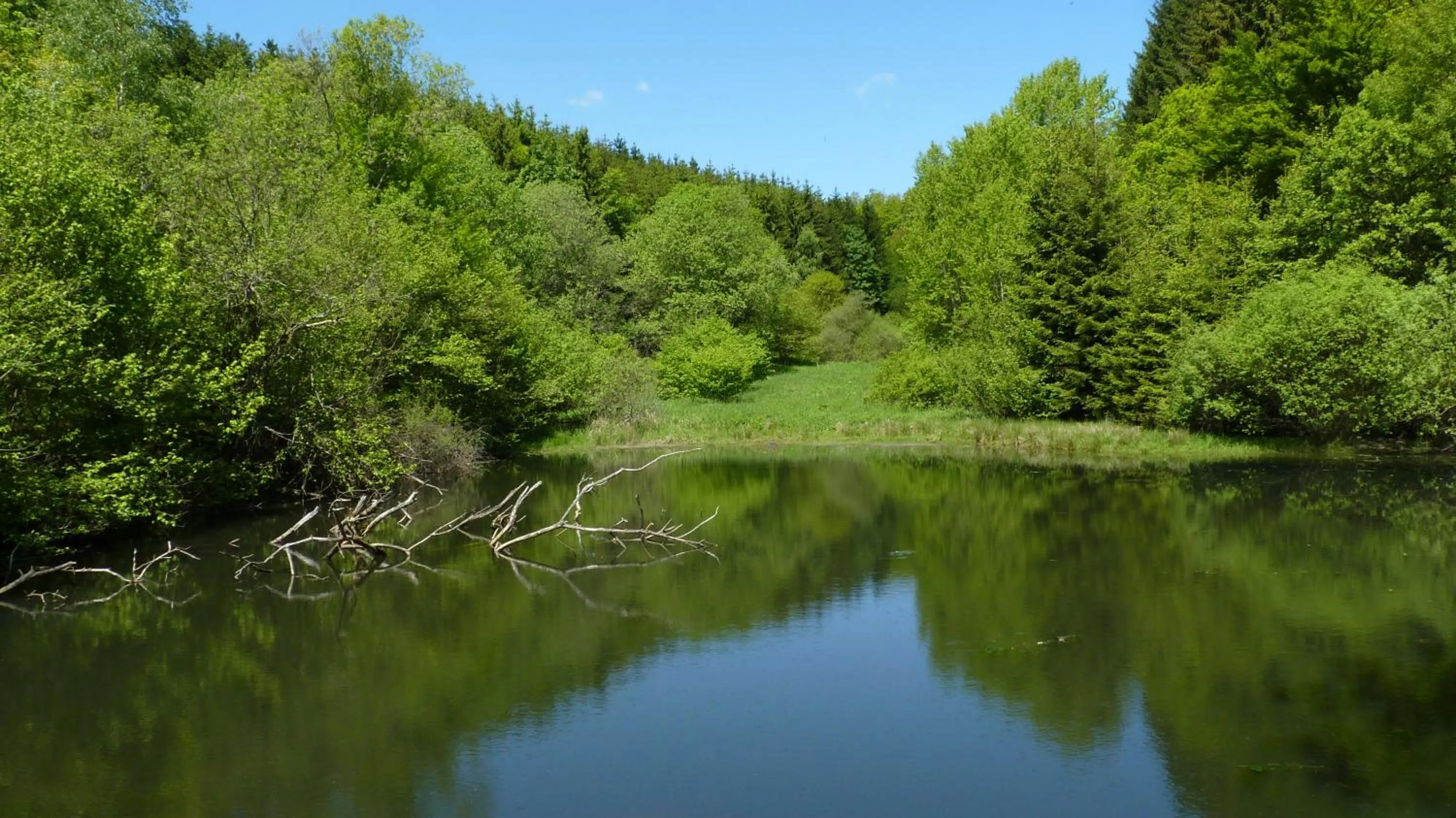 Natural landscape in Landidyll Landhaus Liesetal