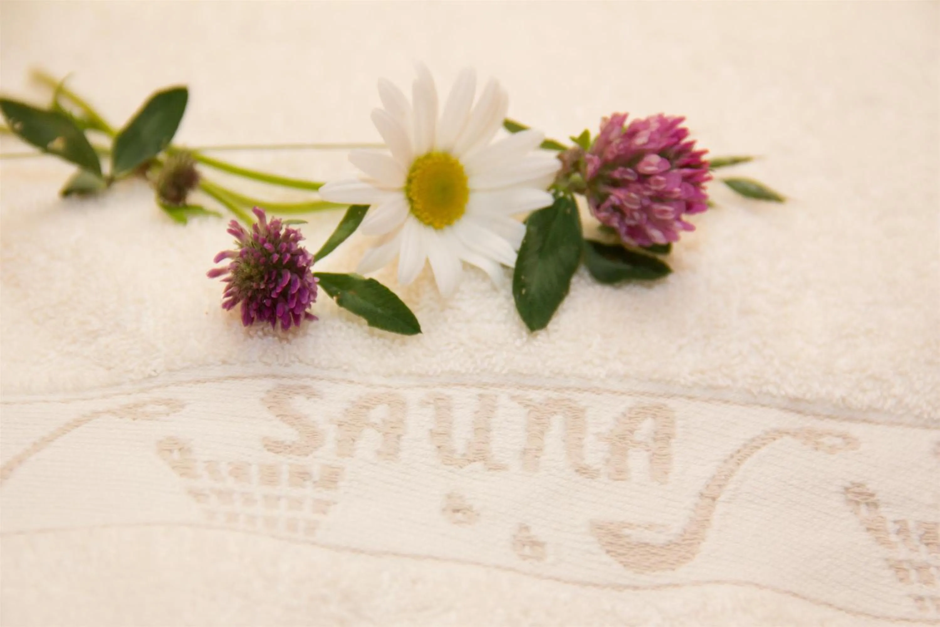 Sauna in Landidyll Landhaus Liesetal