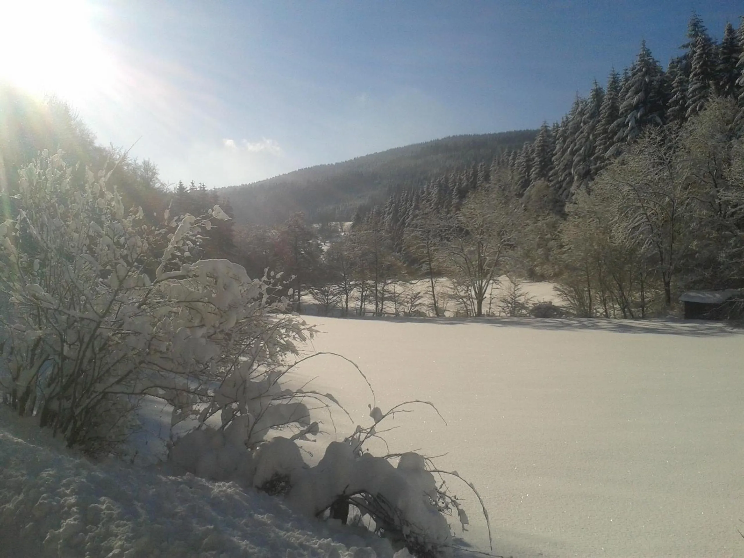 Natural landscape in Landidyll Landhaus Liesetal