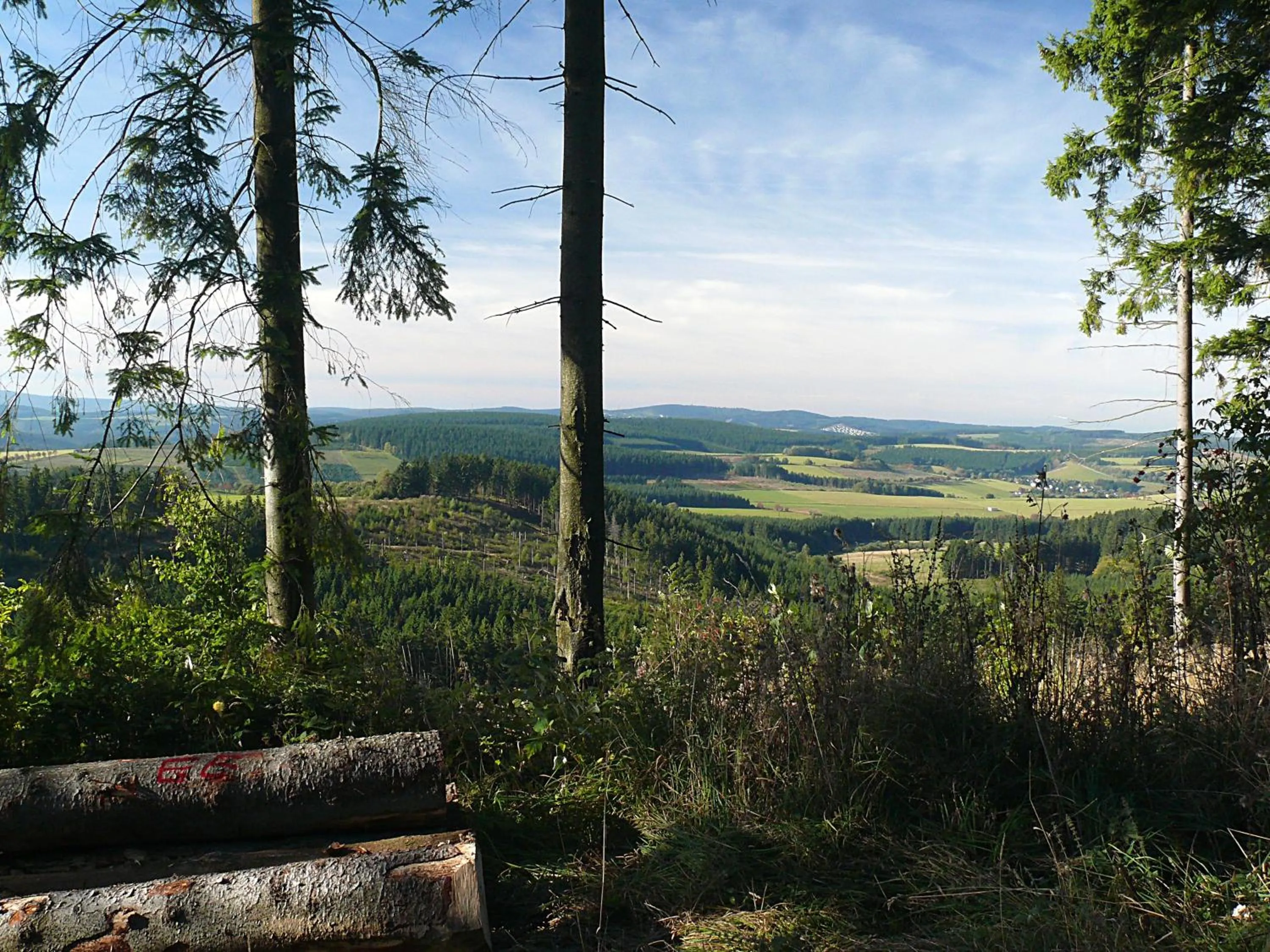 Natural landscape in Landidyll Landhaus Liesetal