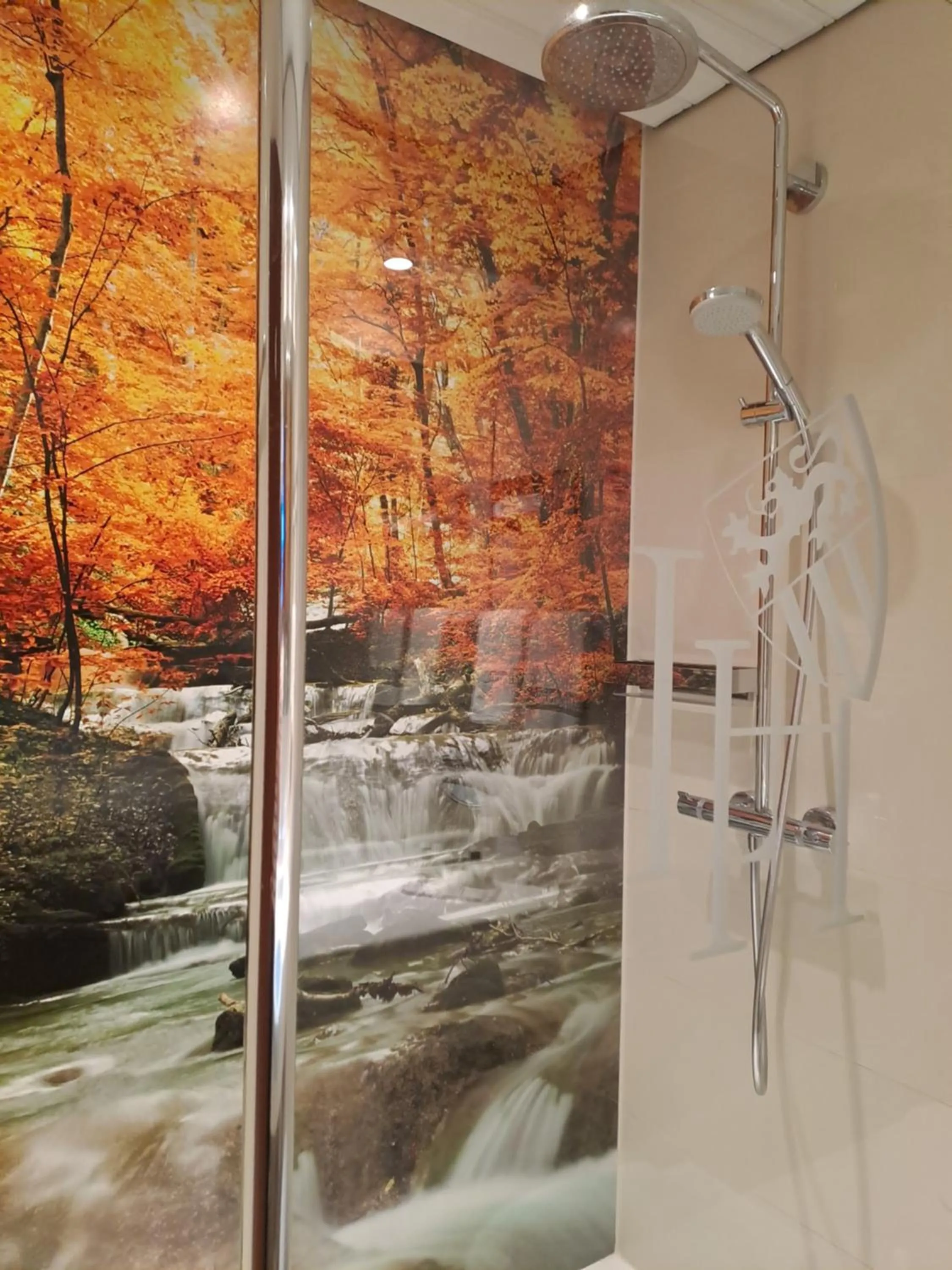 Shower in Leine Hotel