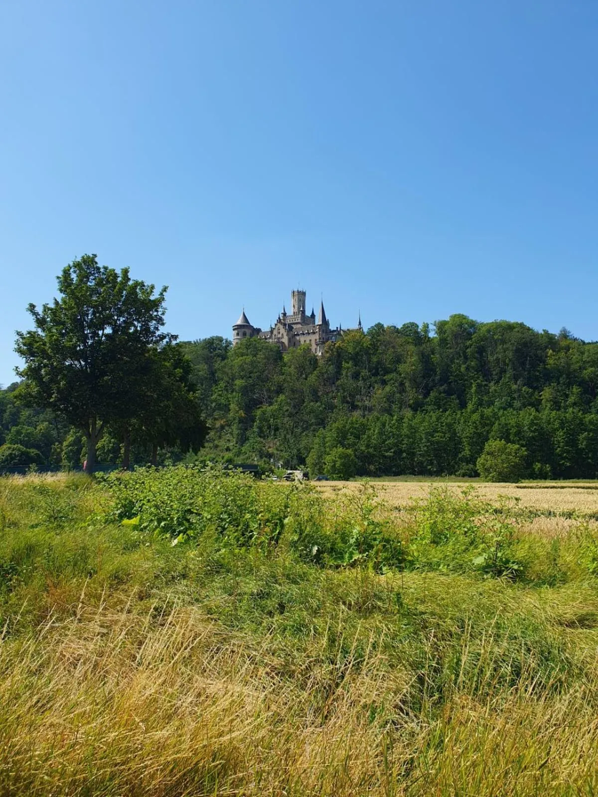 Hiking in Leine Hotel