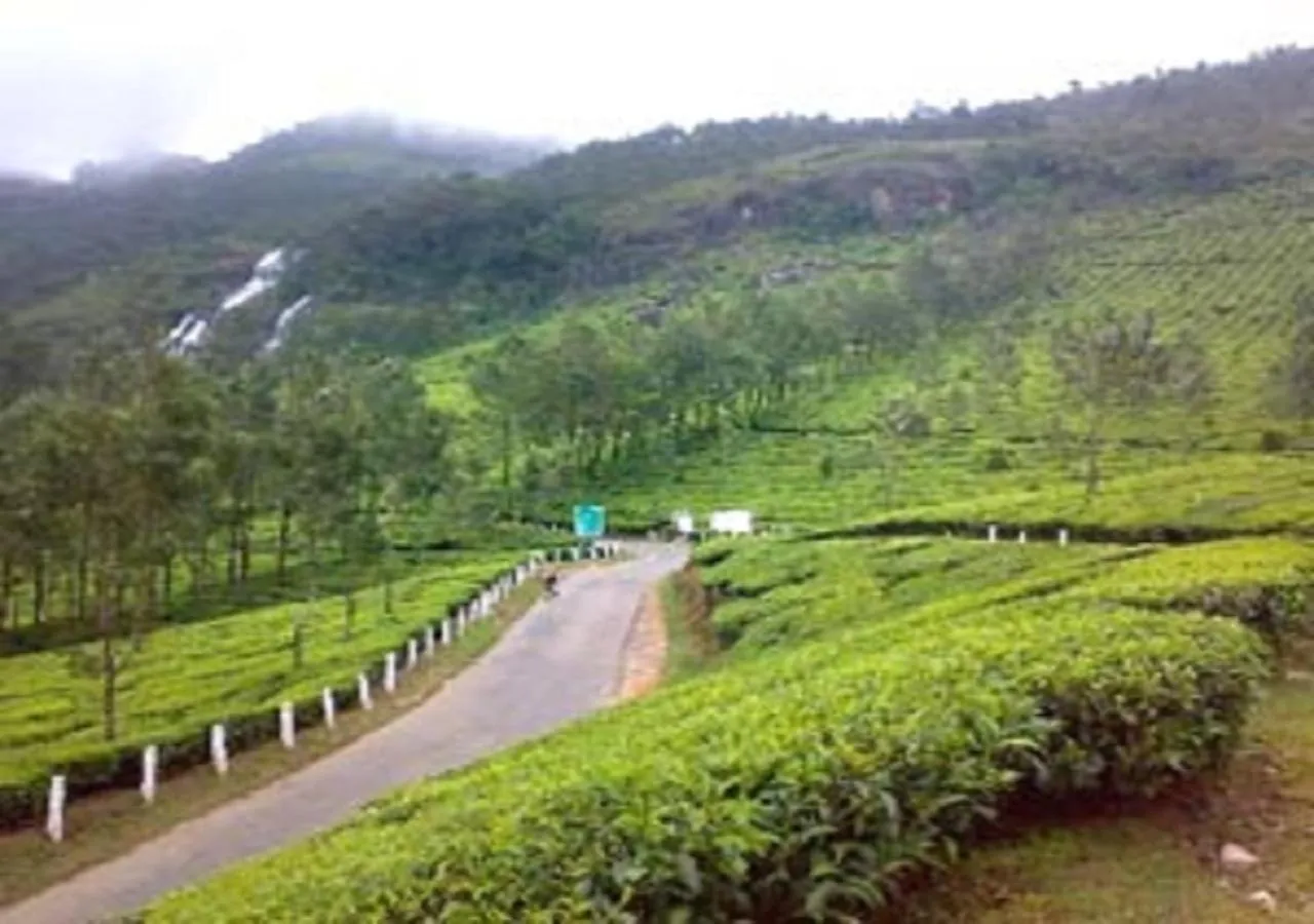Natural landscape in Uttarakhand resort