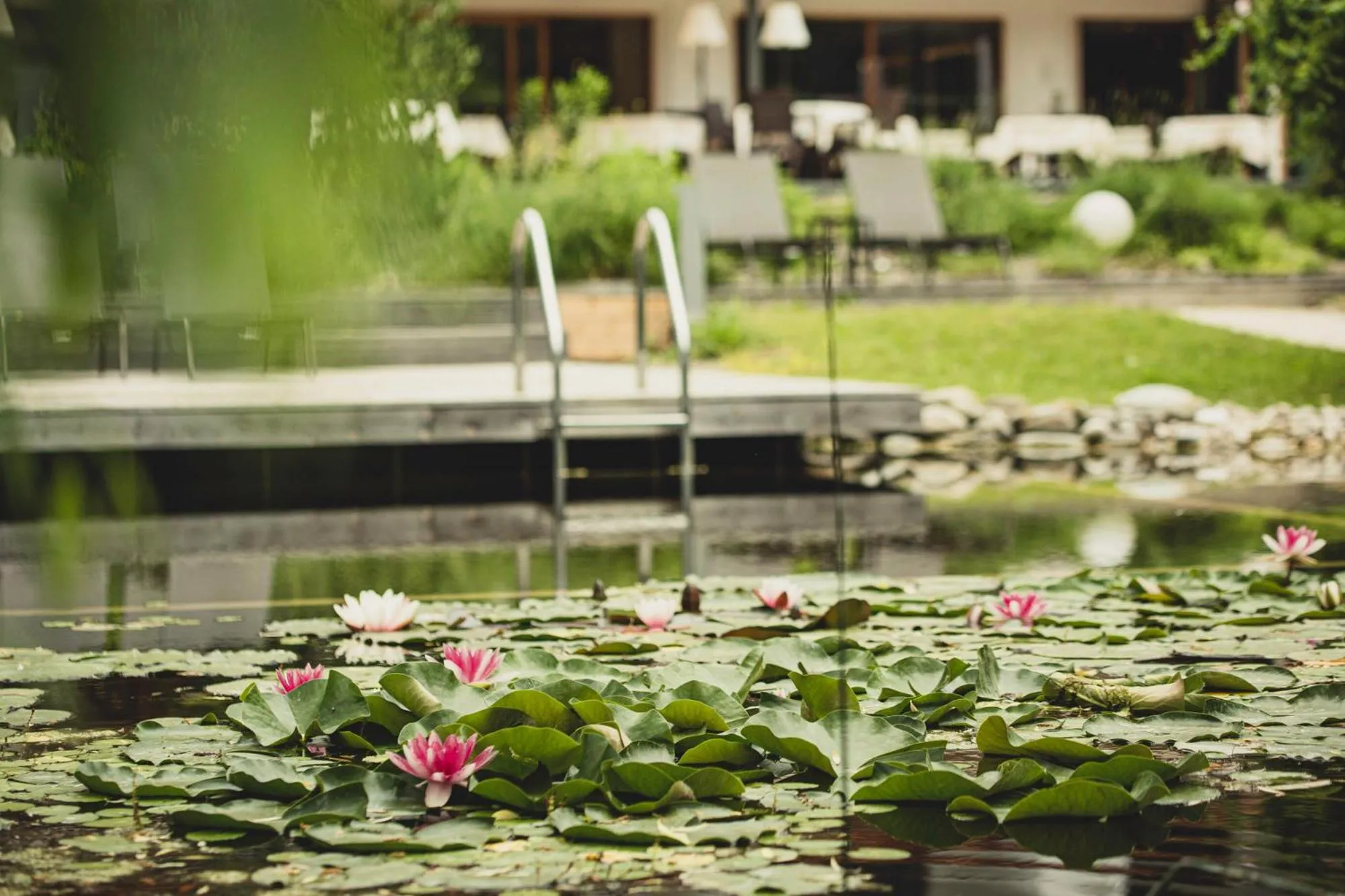 Open Air Bath in Vegan Hotel La Vimea