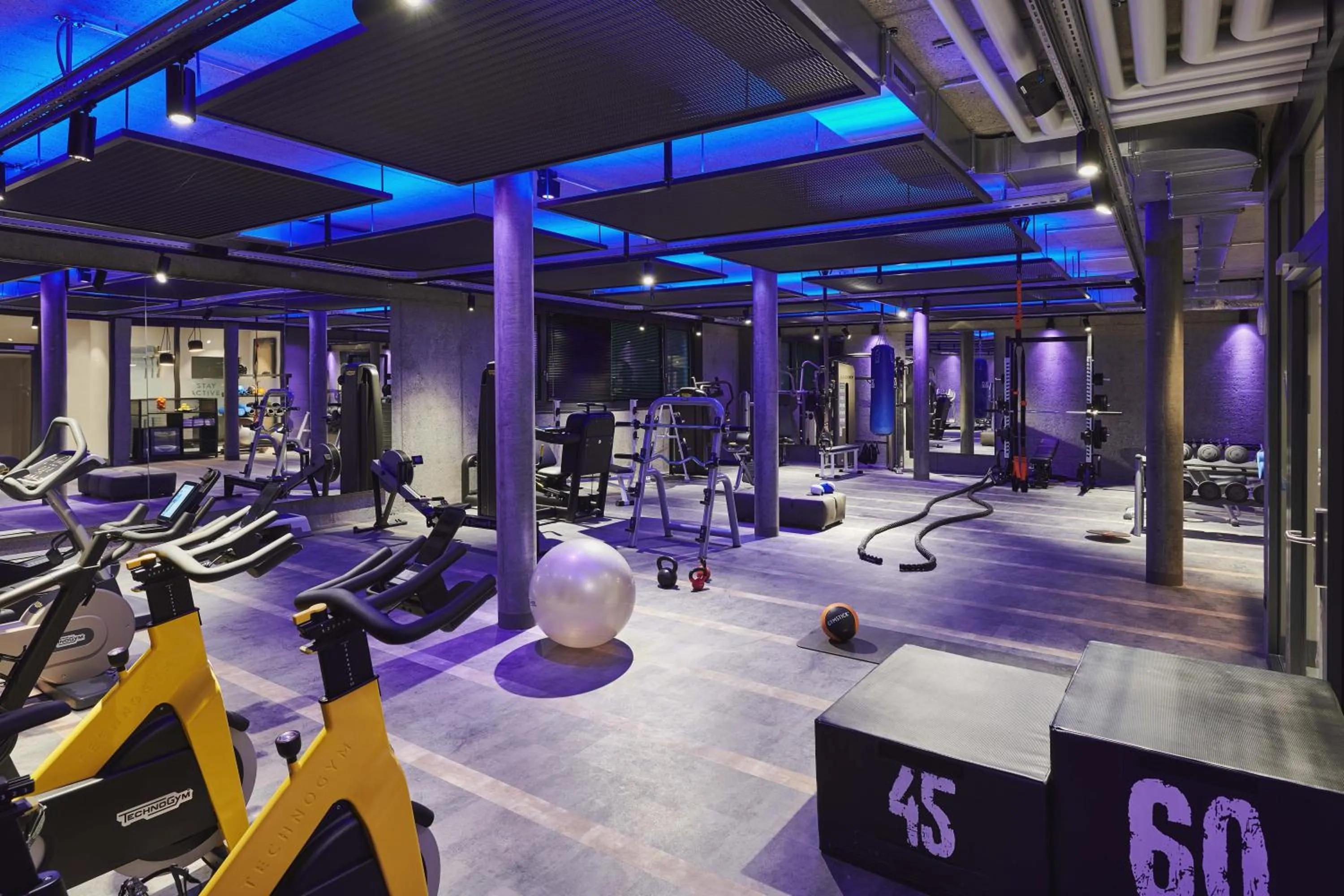 Fitness centre/facilities, Fitness Center/Facilities in SchlossHotel Zermatt Active & CBD Spa Hotel
