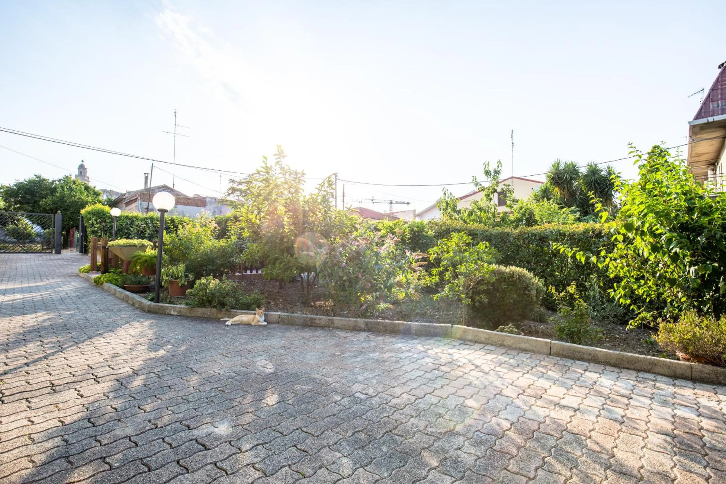 Property building in Selene BeB