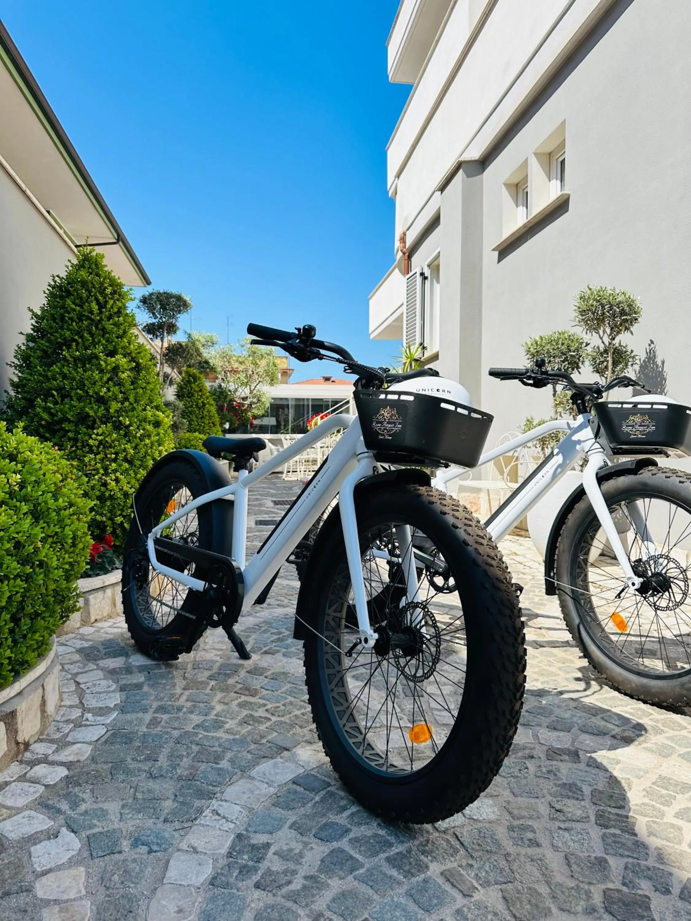 Activities in Rome Airport Inn