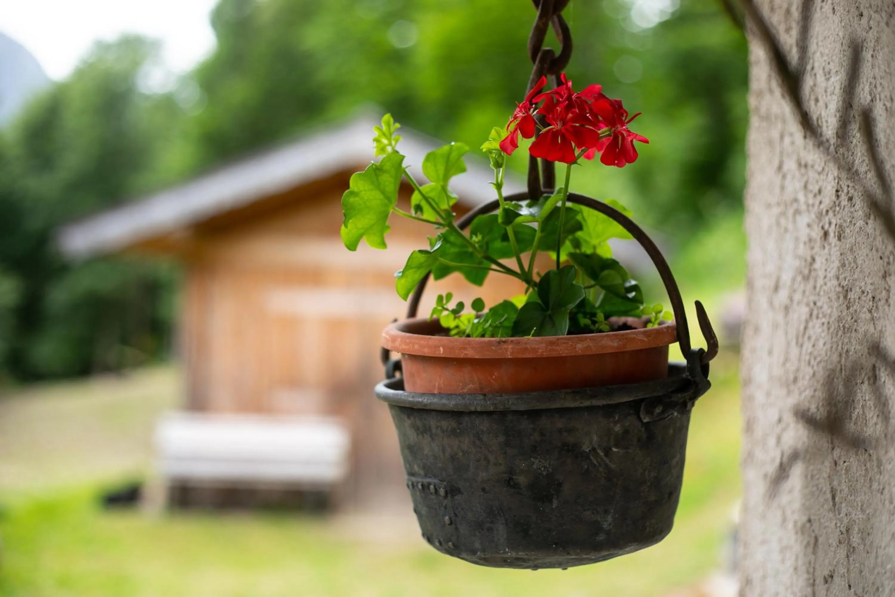 Decorative detail in Hotel Siror