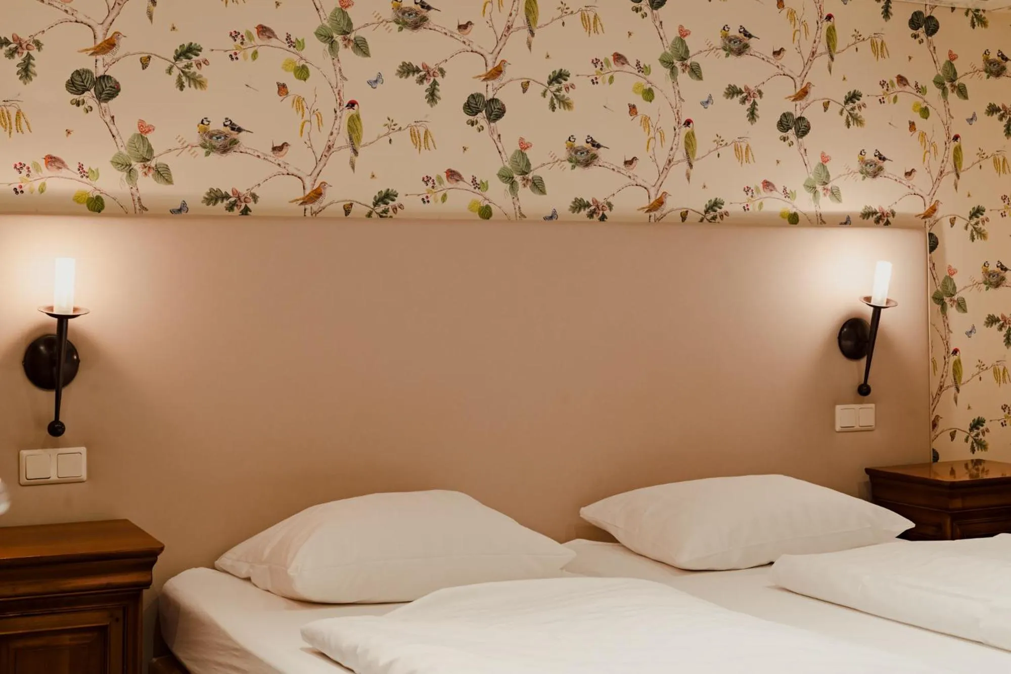 Property building, Bed in Hotel & Gasthaus Backmulde