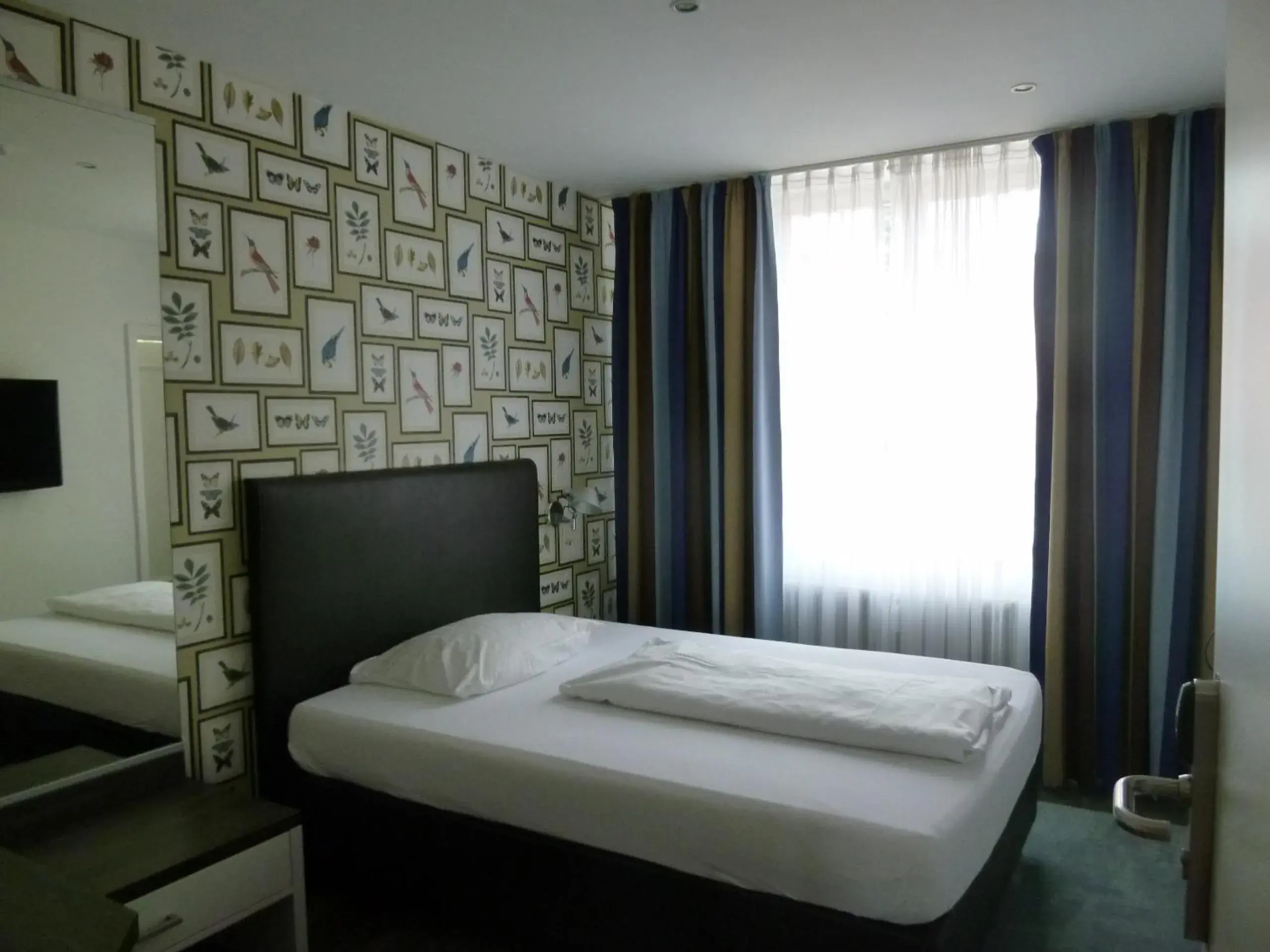 Single Room in Hotel & Gasthaus Backmulde Single Room in Hotel & Gasthaus Backmulde