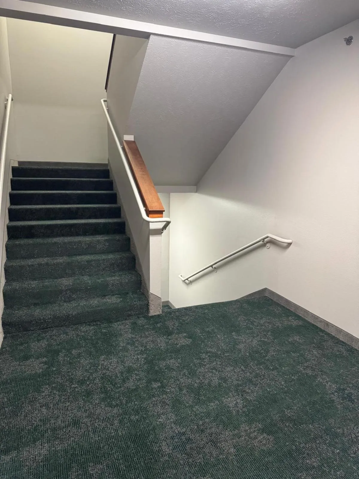 Property building in Wyndham Garden Anchorage Airport