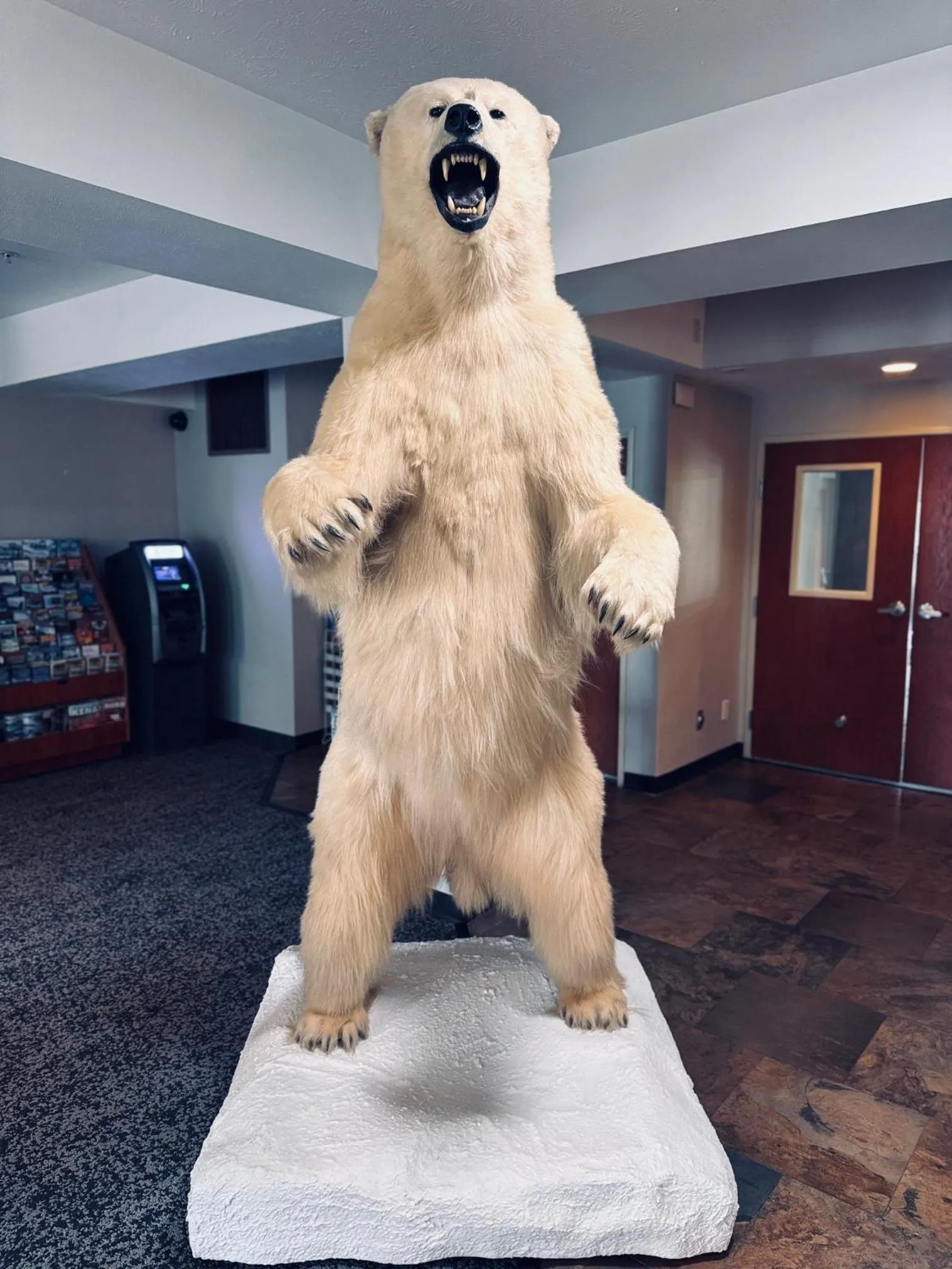 Lobby or reception in Wyndham Garden Anchorage Airport