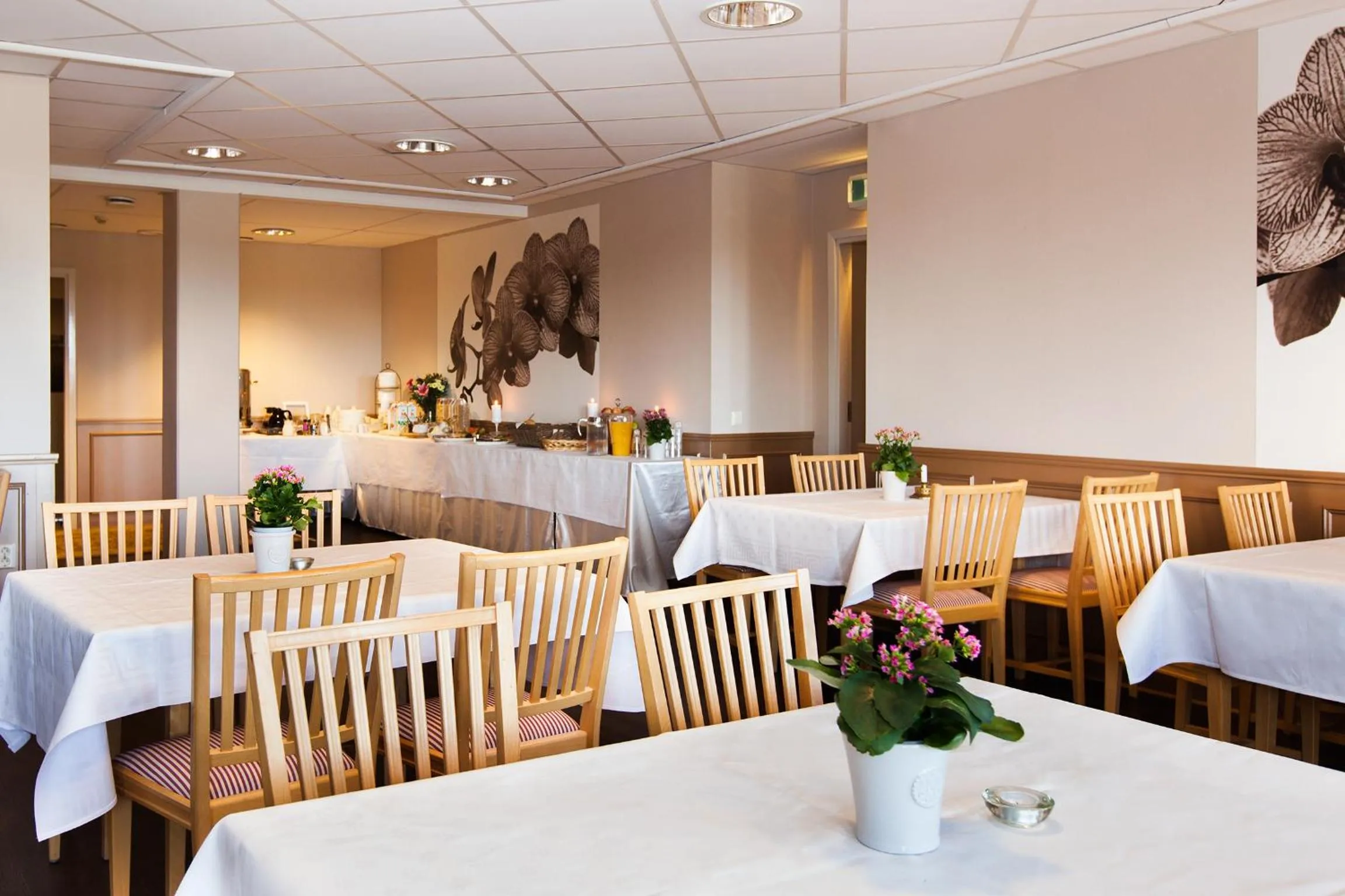 Restaurant/places to eat in Hotel Expo Stockholm