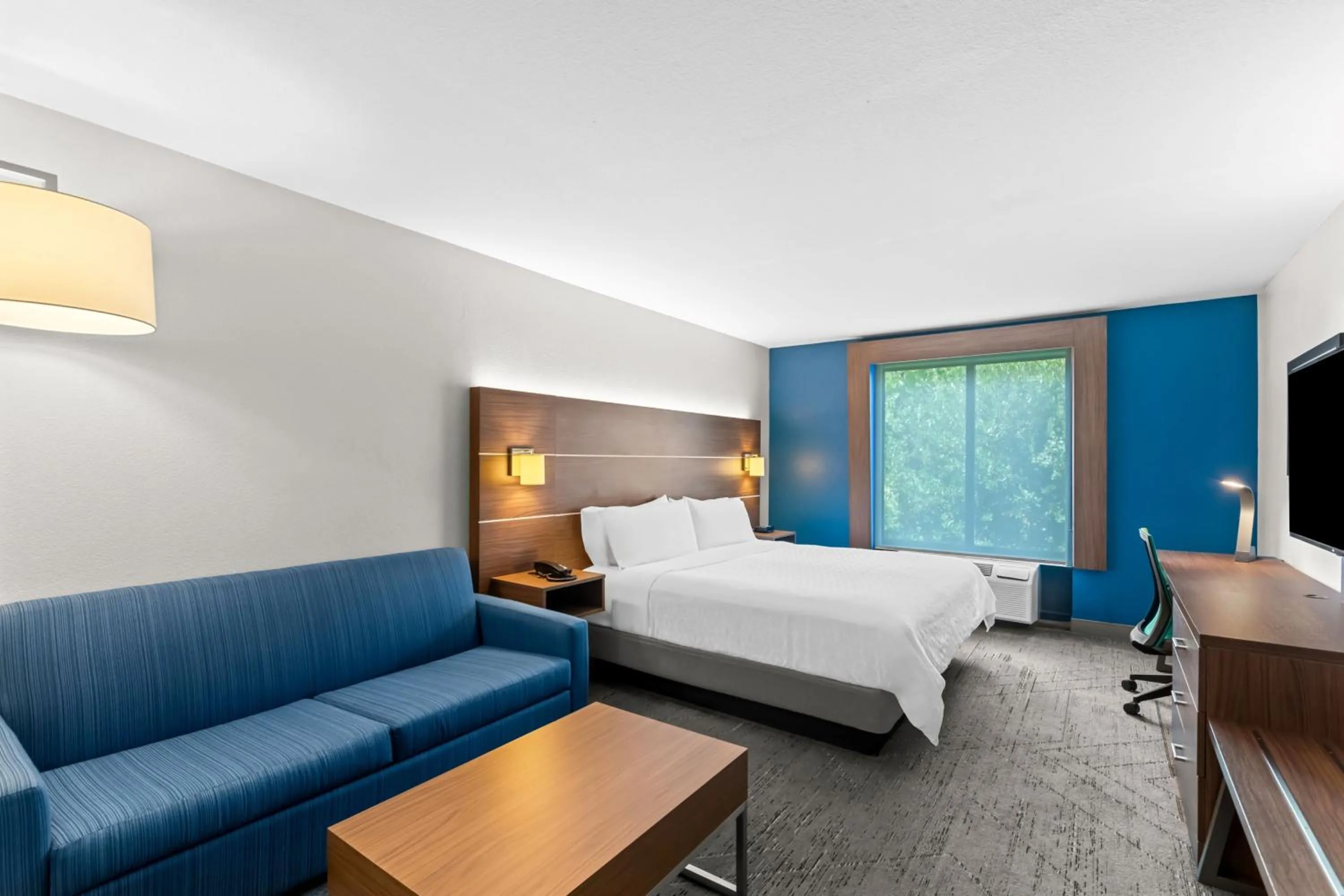 Photo of the whole room, Bed in Holiday Inn Express & Suites Austin SW - Sunset Valley by IHG Hotel