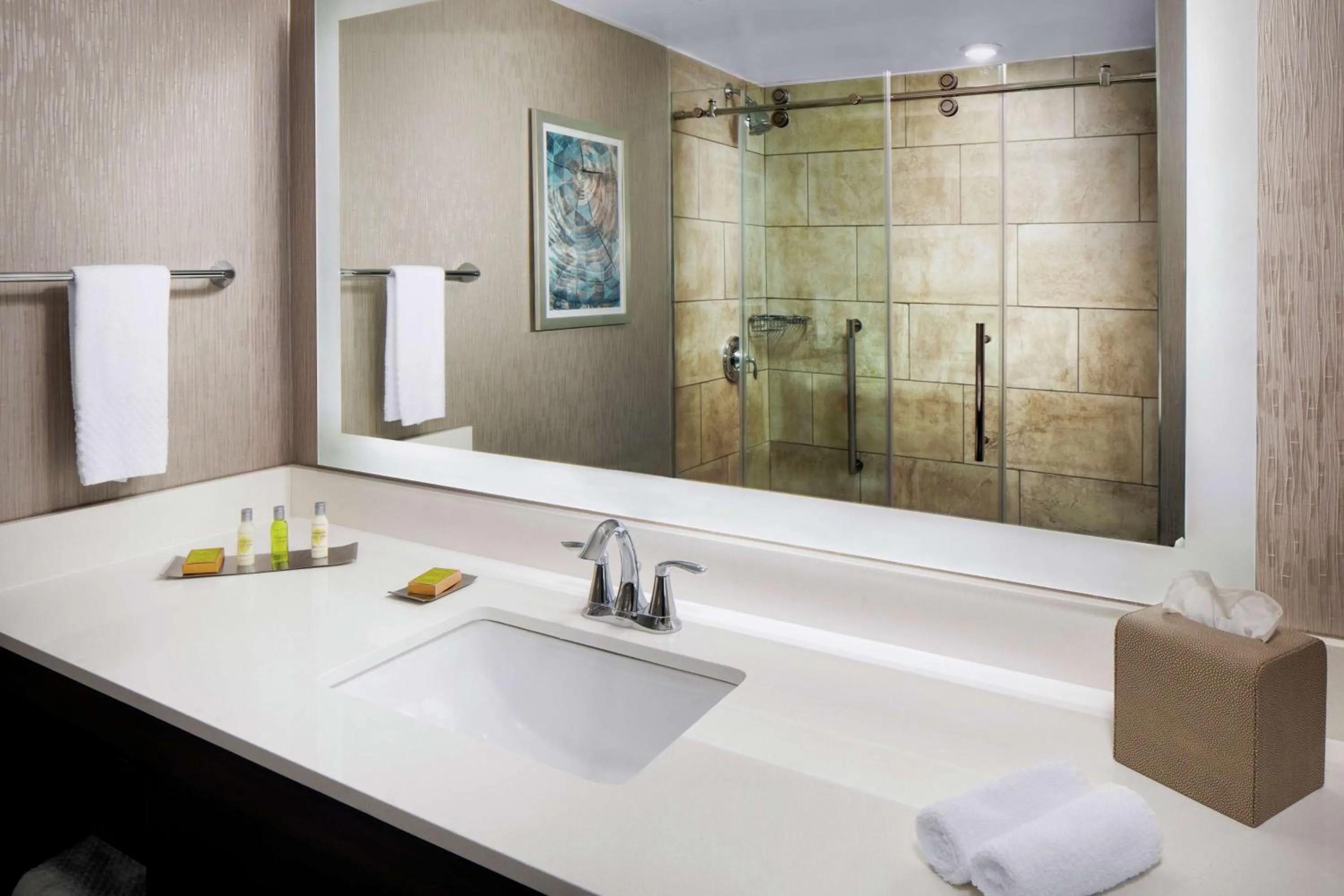 Bathroom in DoubleTree by Hilton Nashua