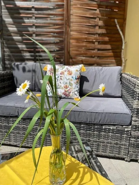 Balcony/Terrace in CURUNA Pensiun-Frühstückspension