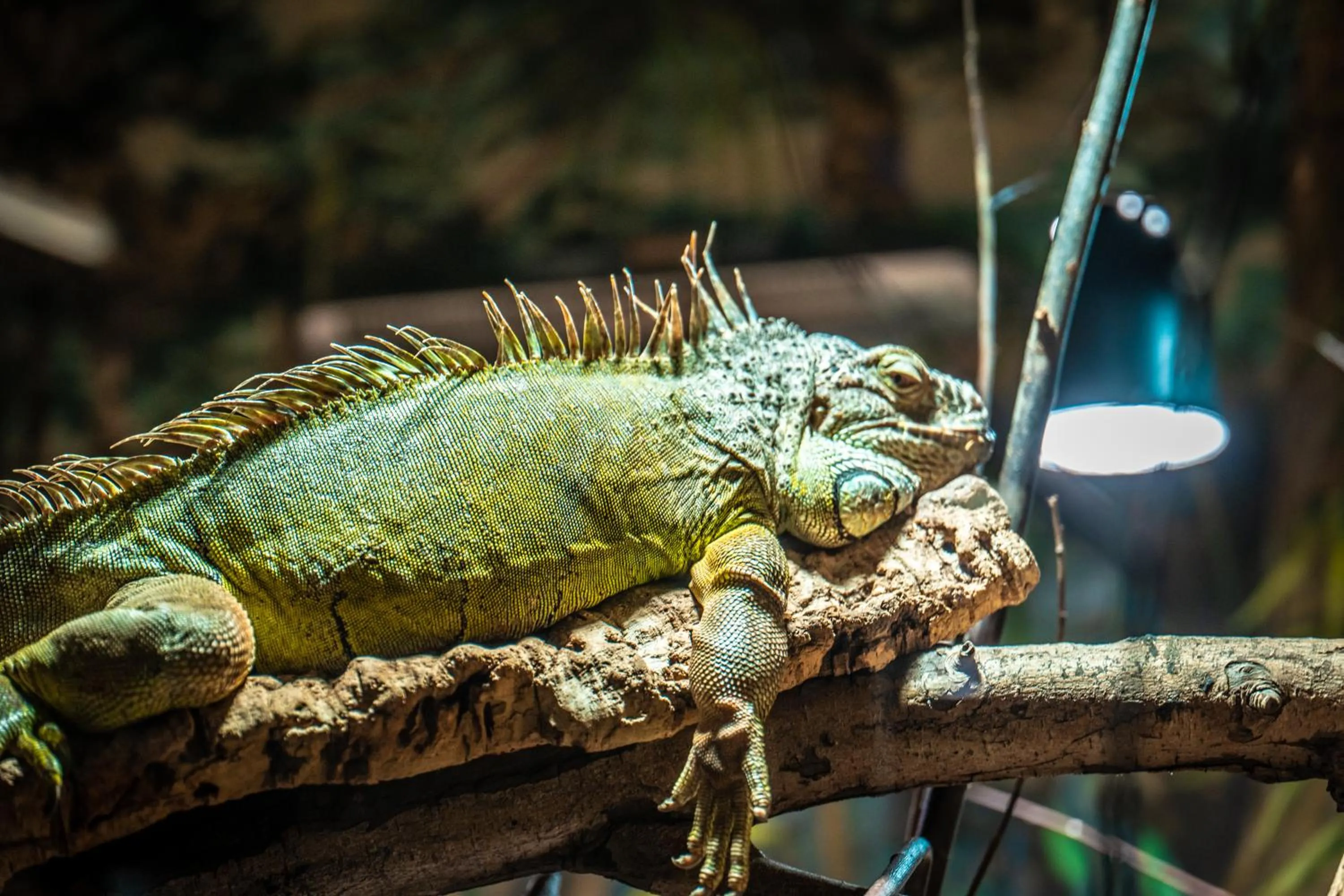 Activities in Ferien- und Freizeitpark Weissenhäuser Strand