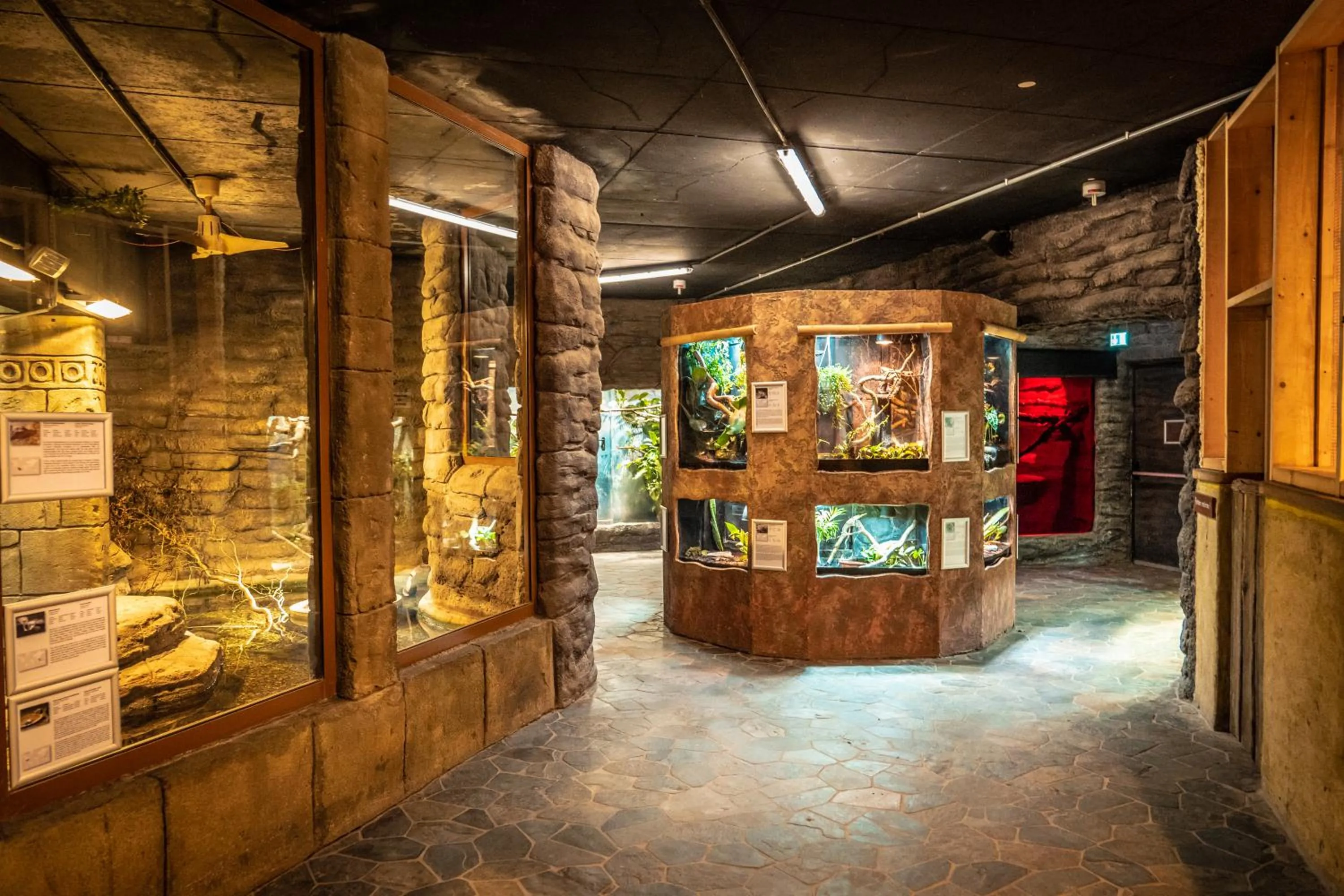 Activities in Ferien- und Freizeitpark Weissenhäuser Strand