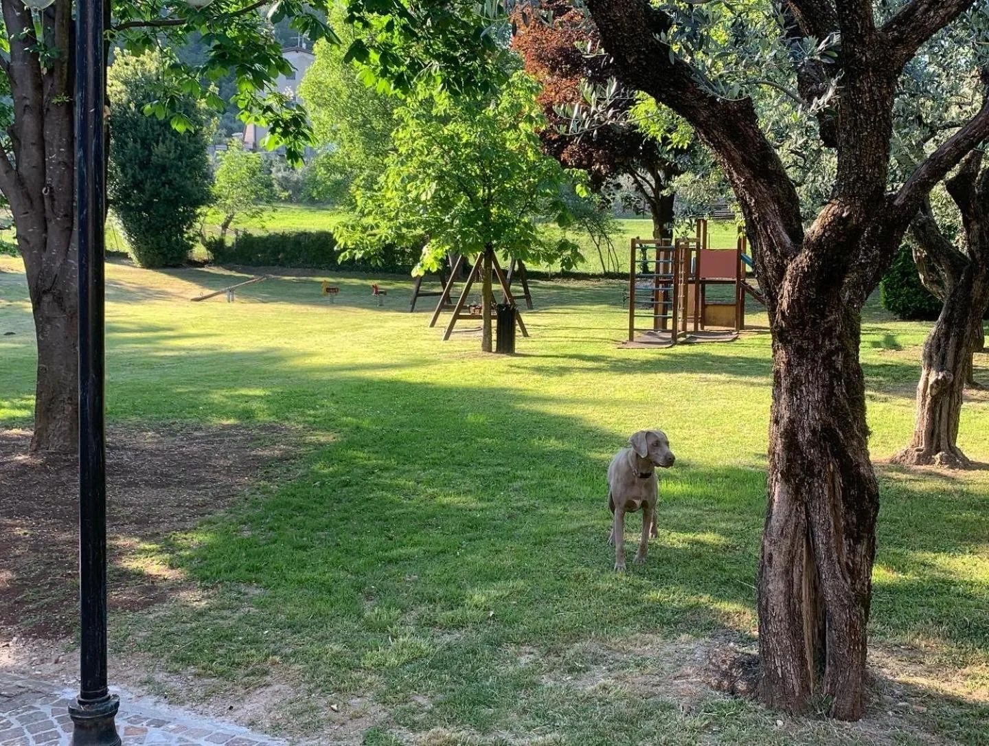 Garden in Rustico di Benellini Angela