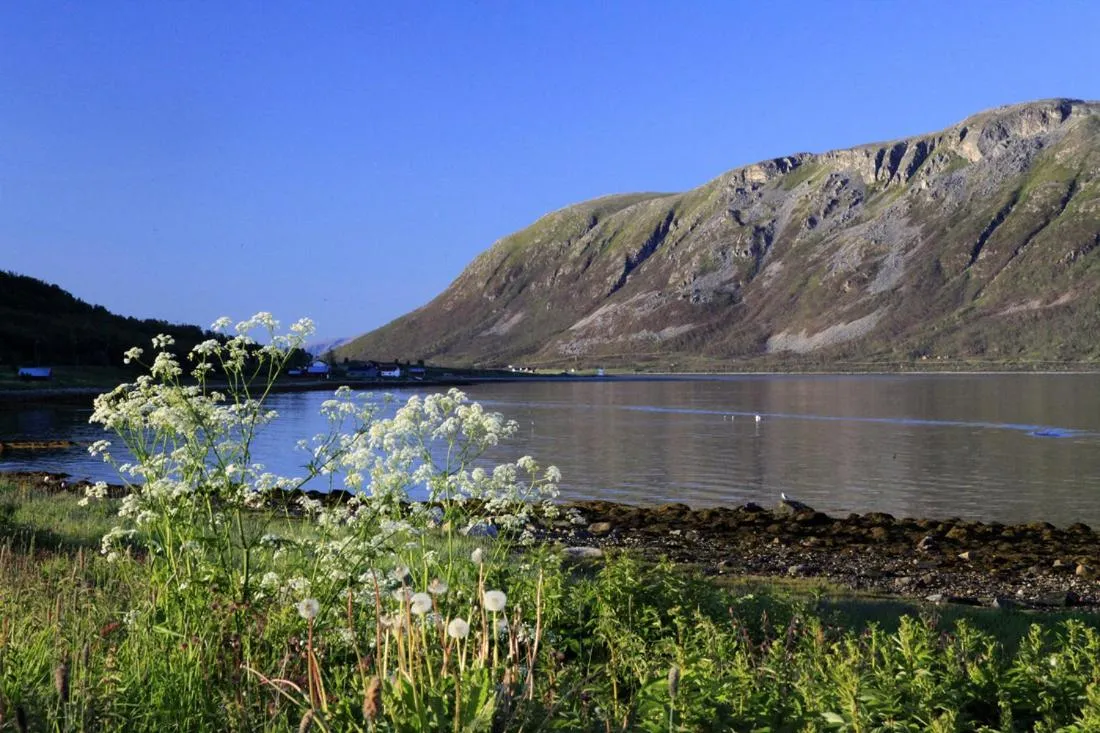 Natural landscape in Hansnes Havfiske