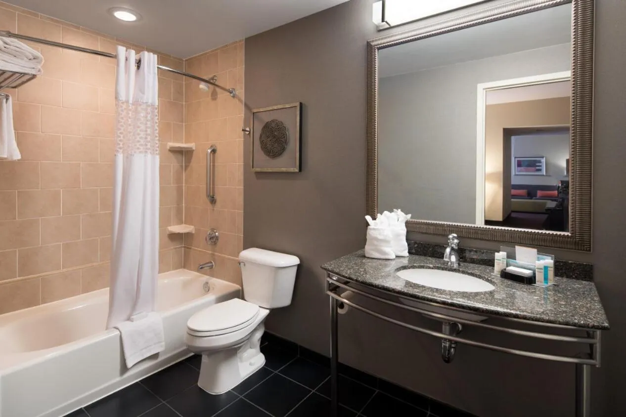 Bathroom in Hampton Inn and Suites Ogden