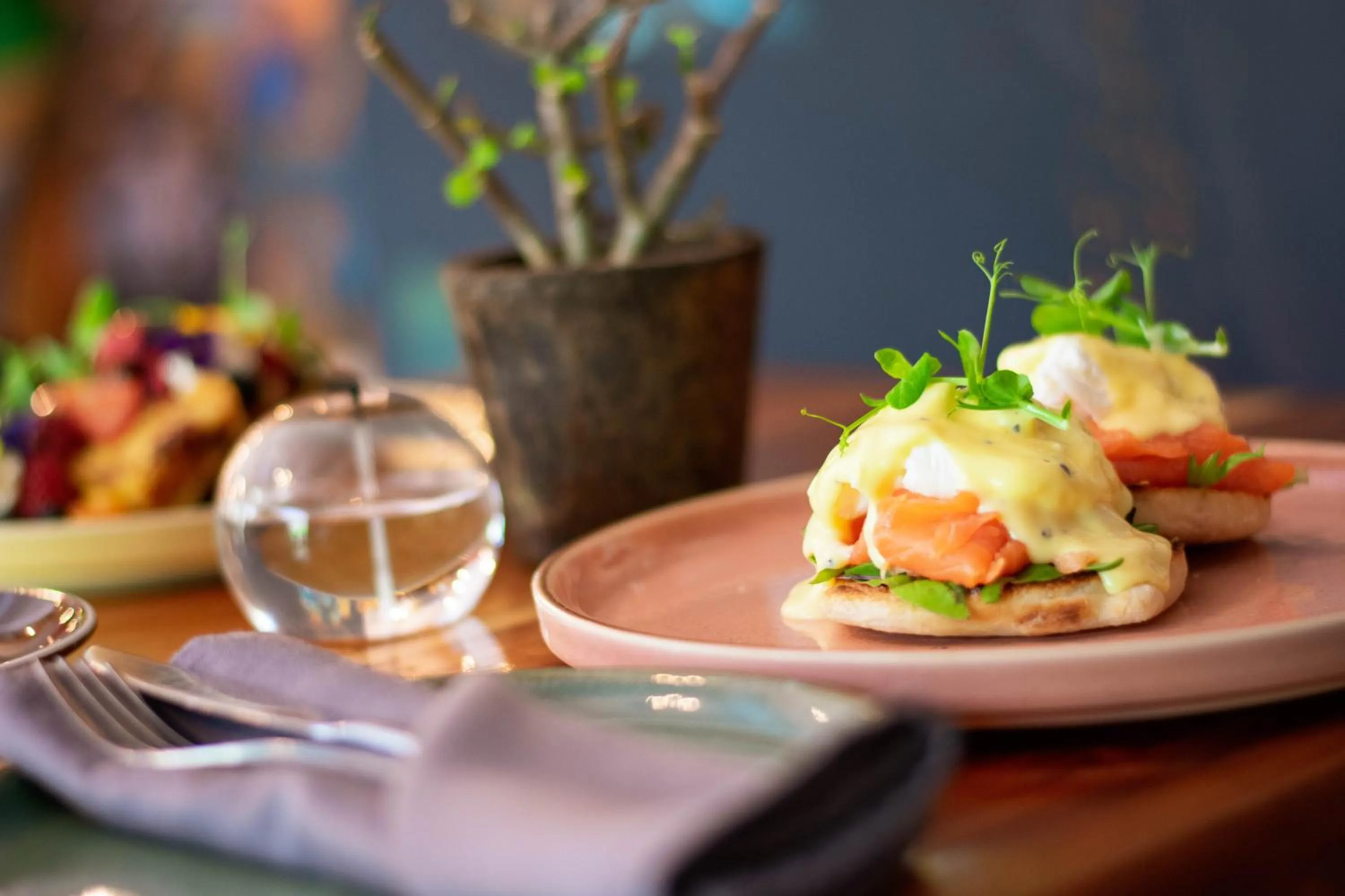 Restaurant/places to eat in Silver Forest Boutique Hotel and Spa