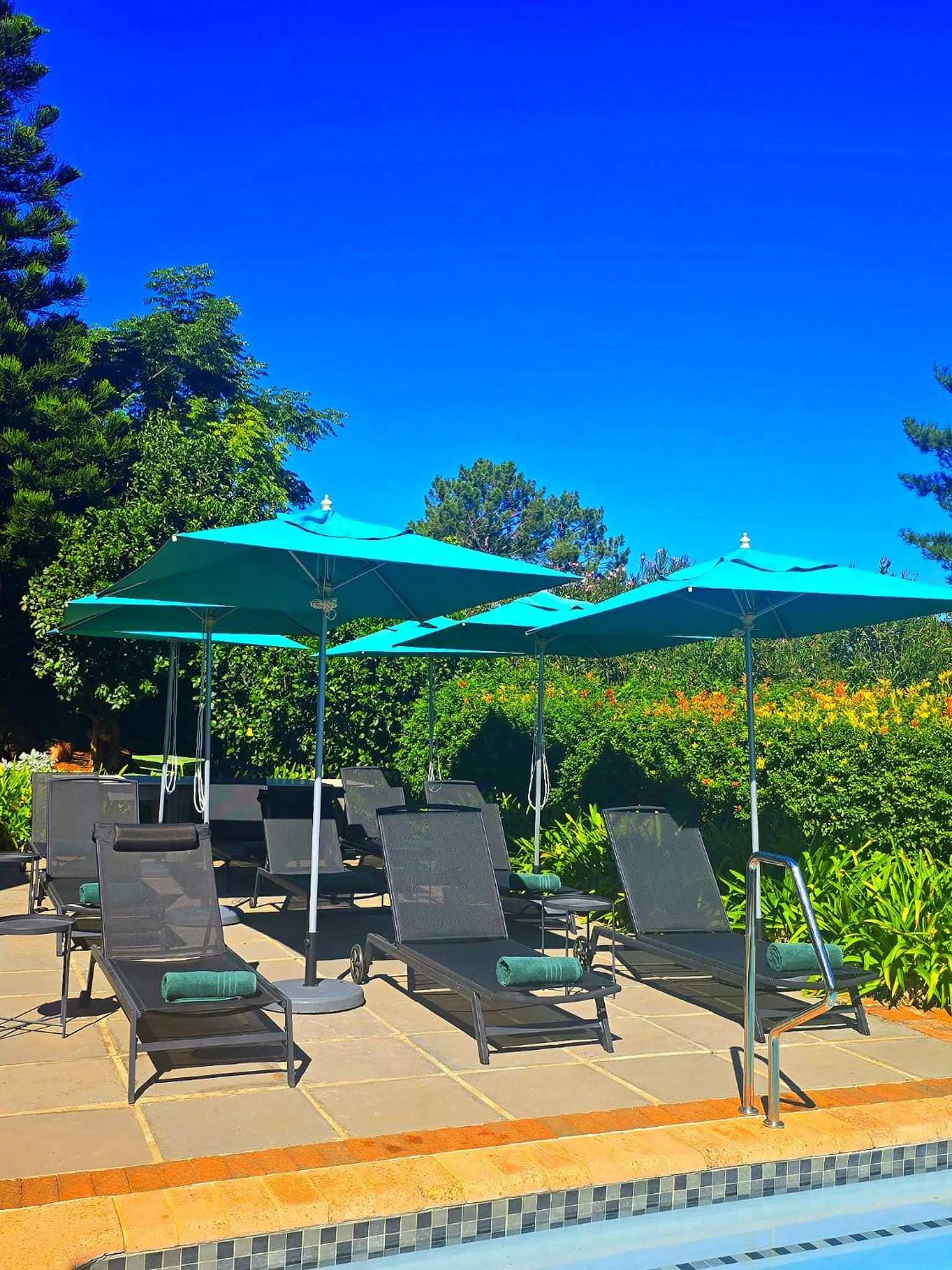 Swimming pool in Silver Forest Boutique Hotel and Spa
