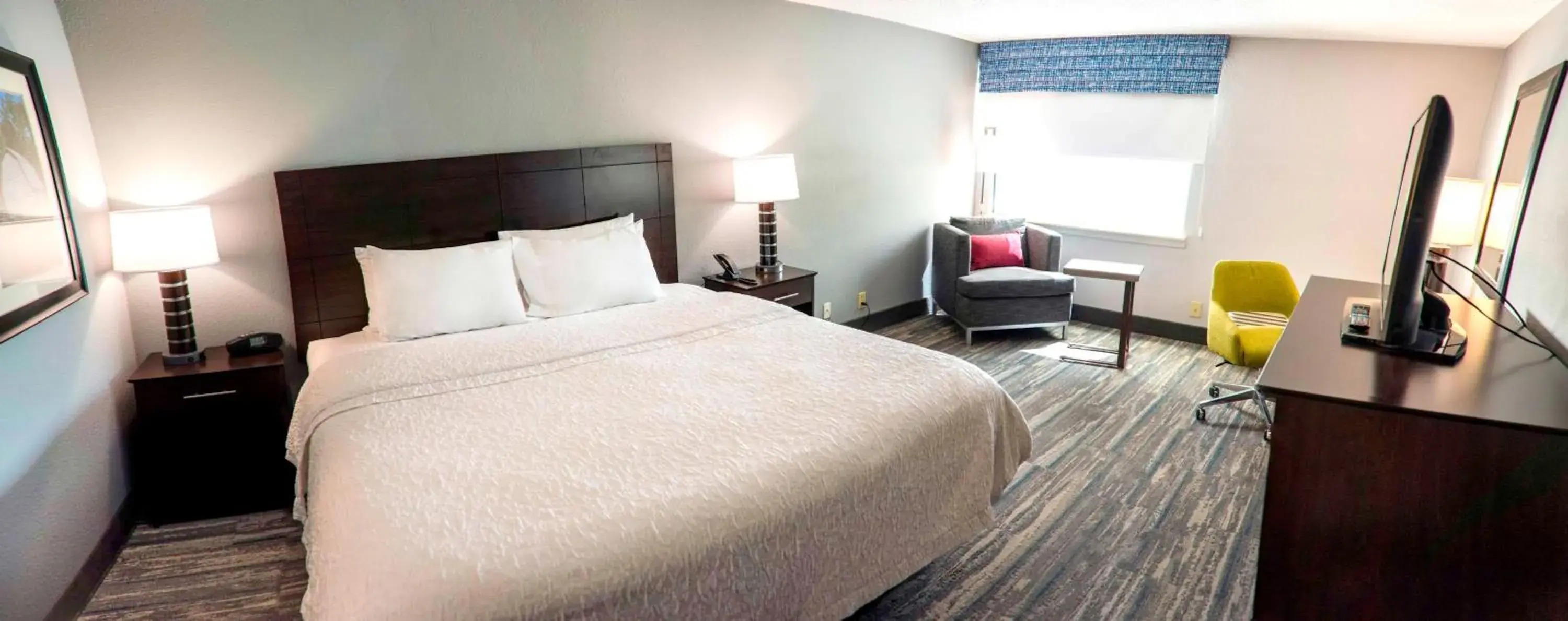 King Room with Sofa Bed - Non-Smoking in Hampton Inn Kinston King Room with Sofa Bed - Non-Smoking in Hampton Inn Kinston