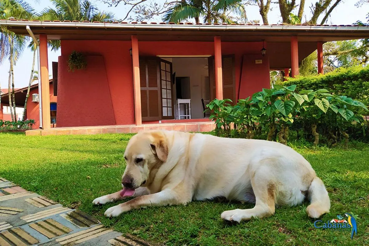 Garden in Cabanas Termas Hotel