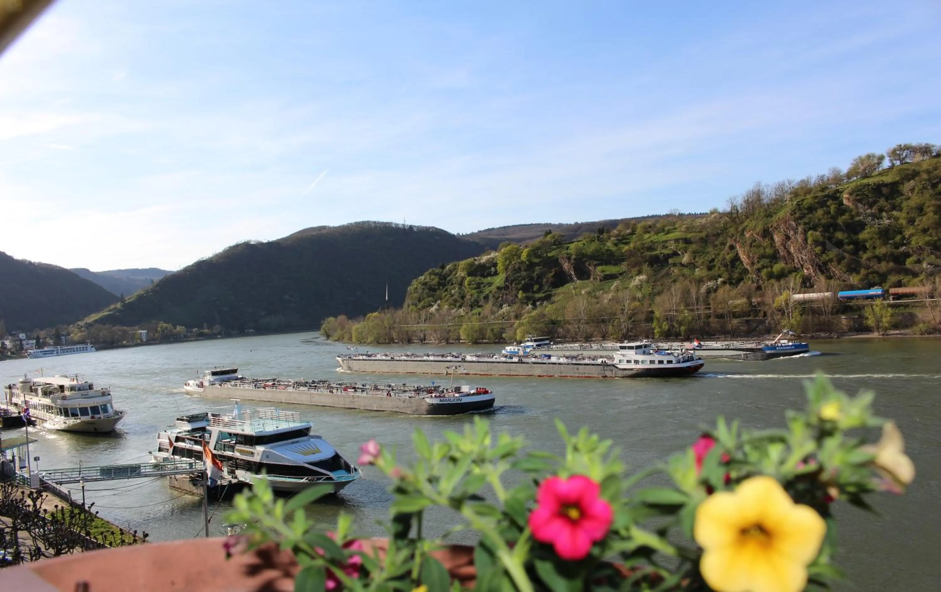 Day in Rheinhotel Lilie