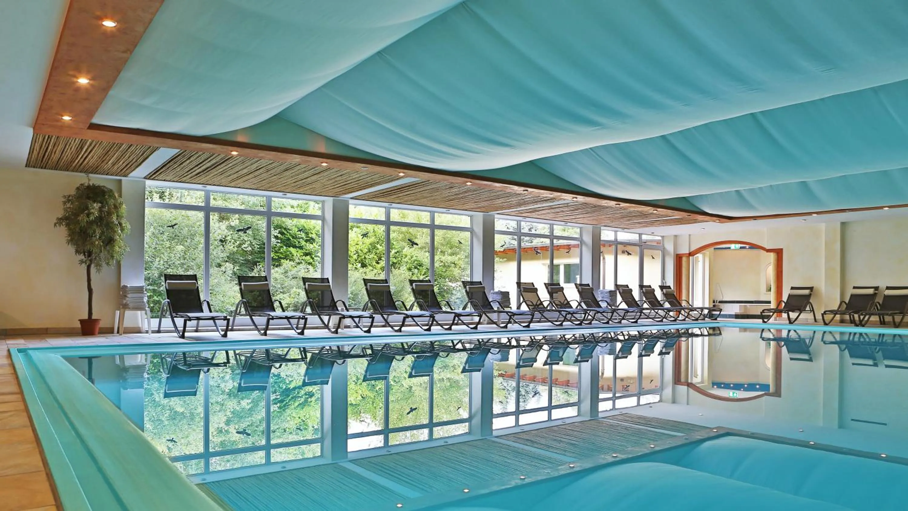 Activities in Schwarzwaldhotel Oberwiesenhof