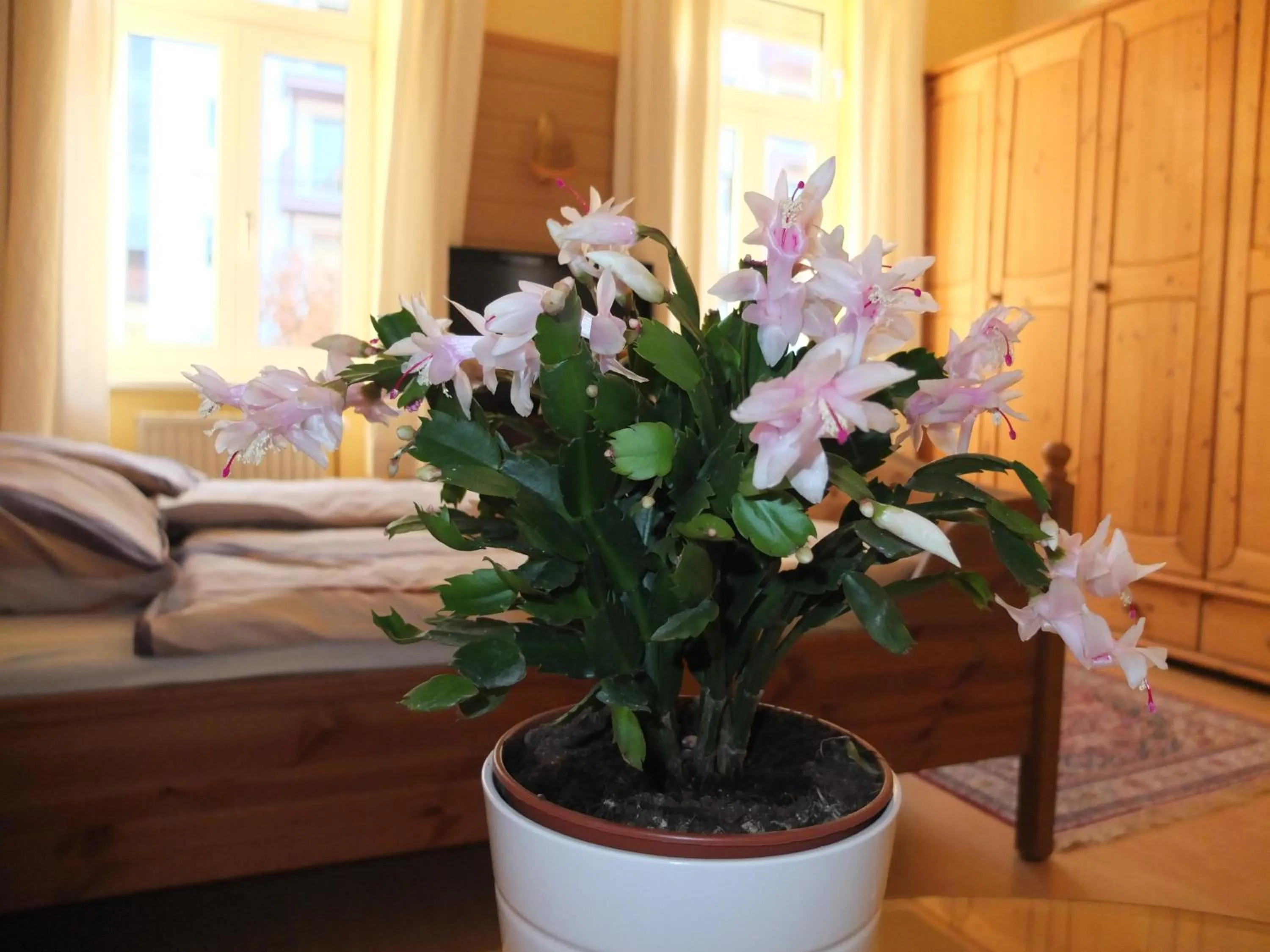 Bedroom, Bed in Leopoldauer Apartment