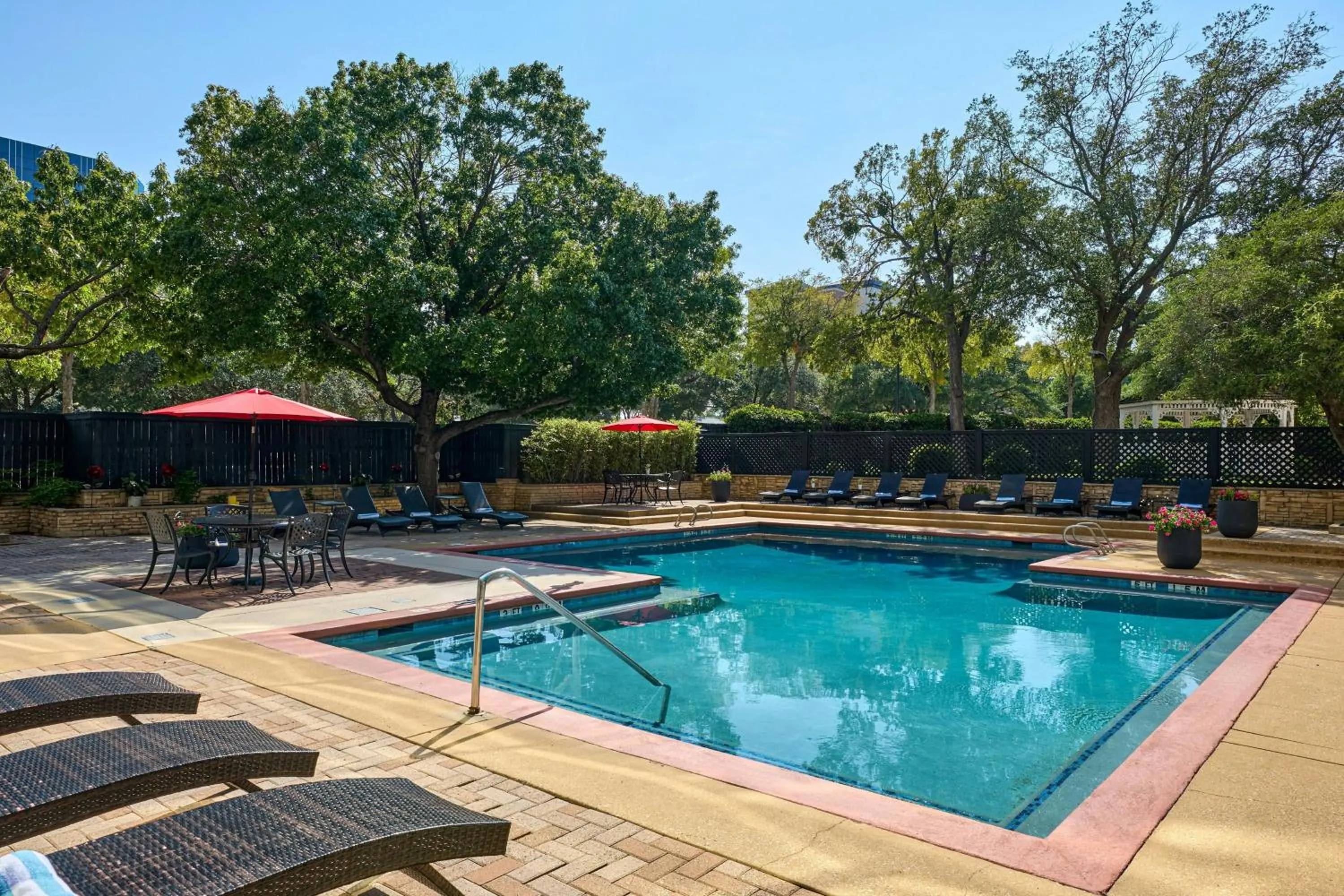Swimming pool in Renaissance Dallas Addison