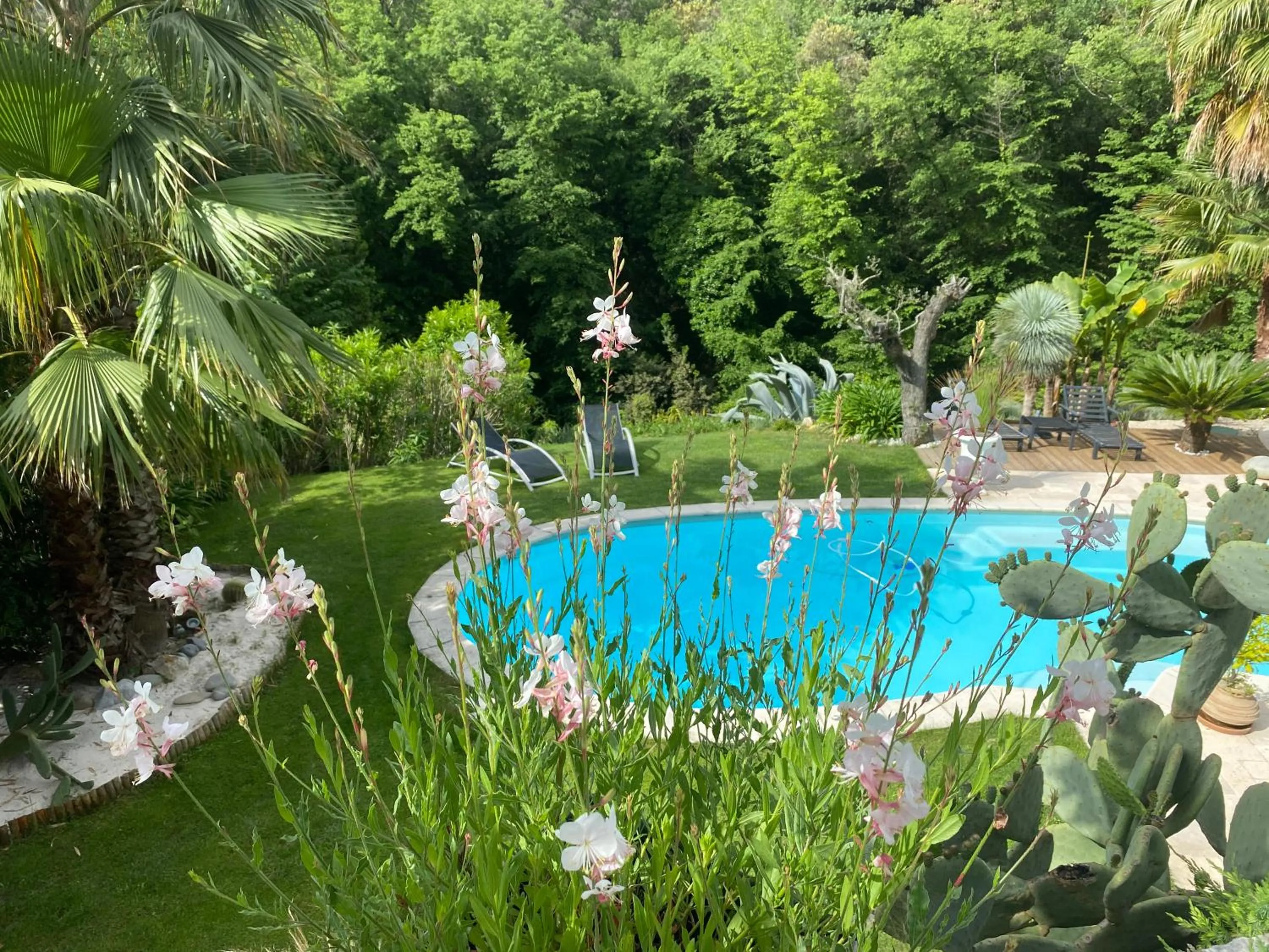 Pool view in Le Maskalou