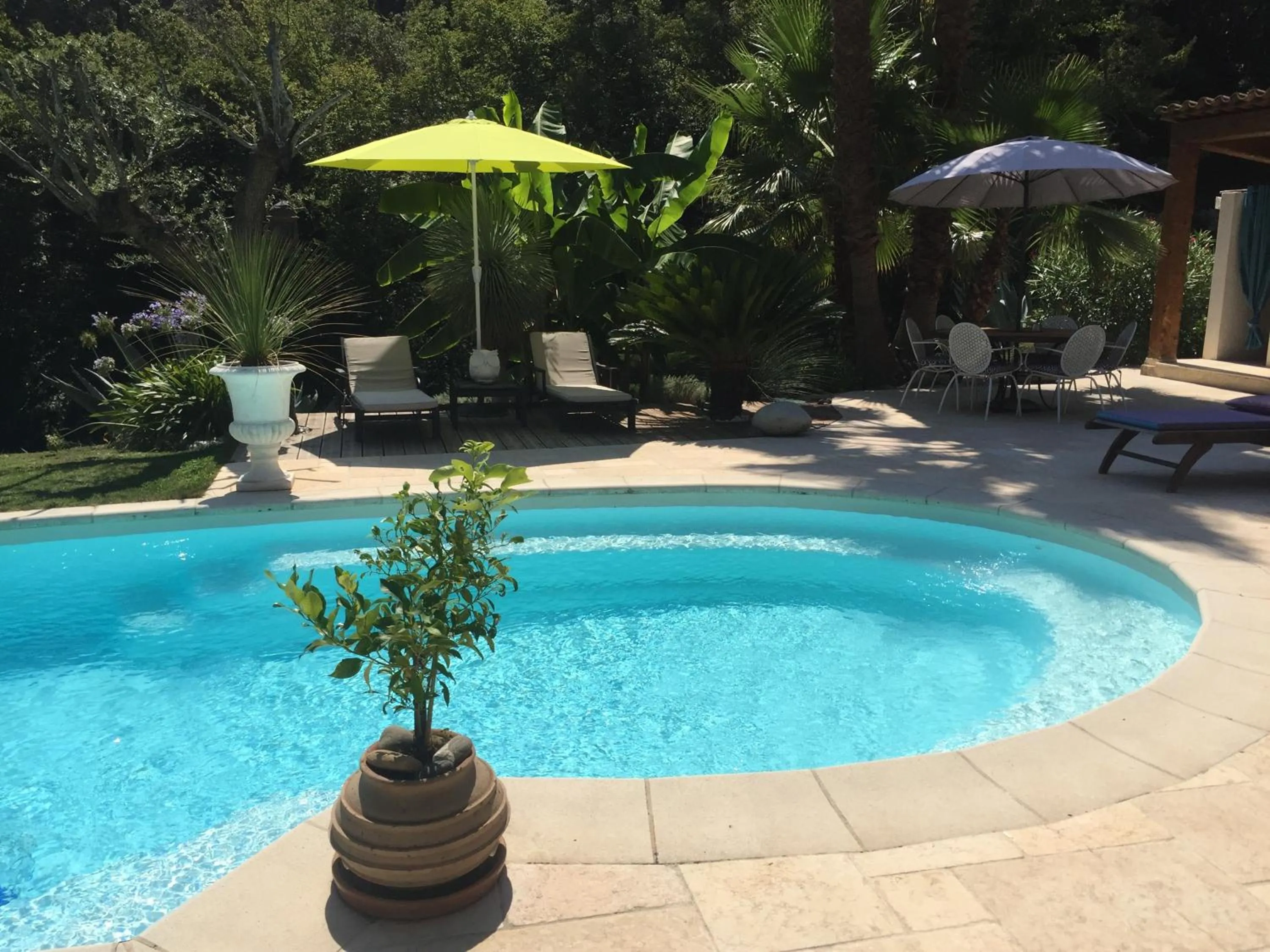 Swimming pool in Le Maskalou