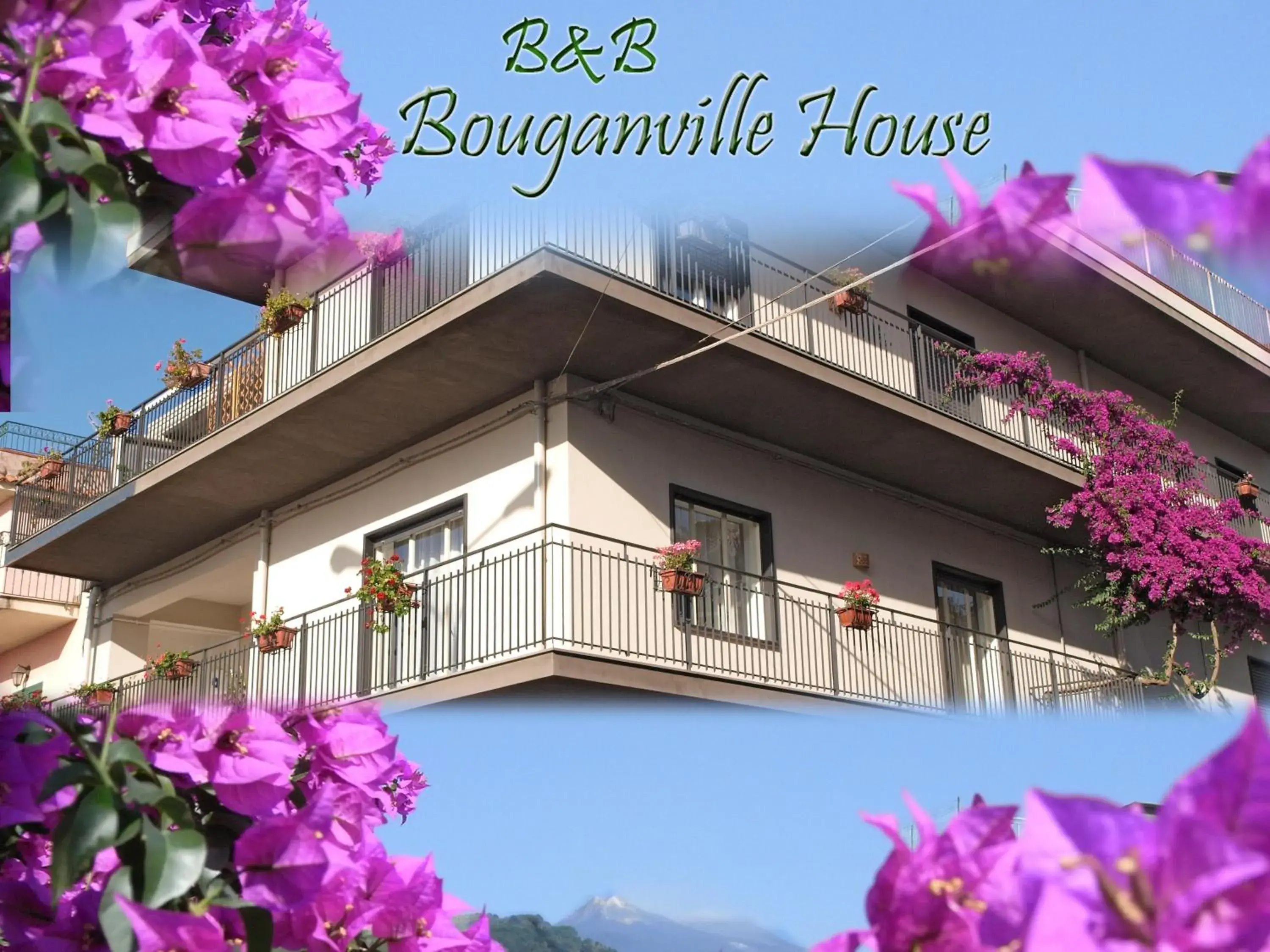 Bouganville House Bouganville House