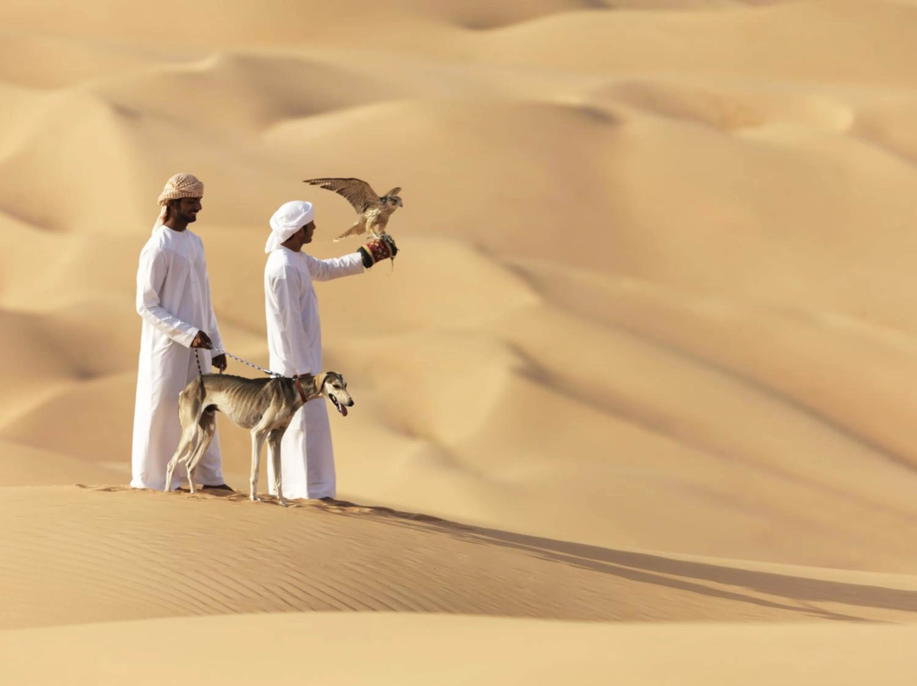 Area and facilities in Anantara Qasr al Sarab Desert Resort