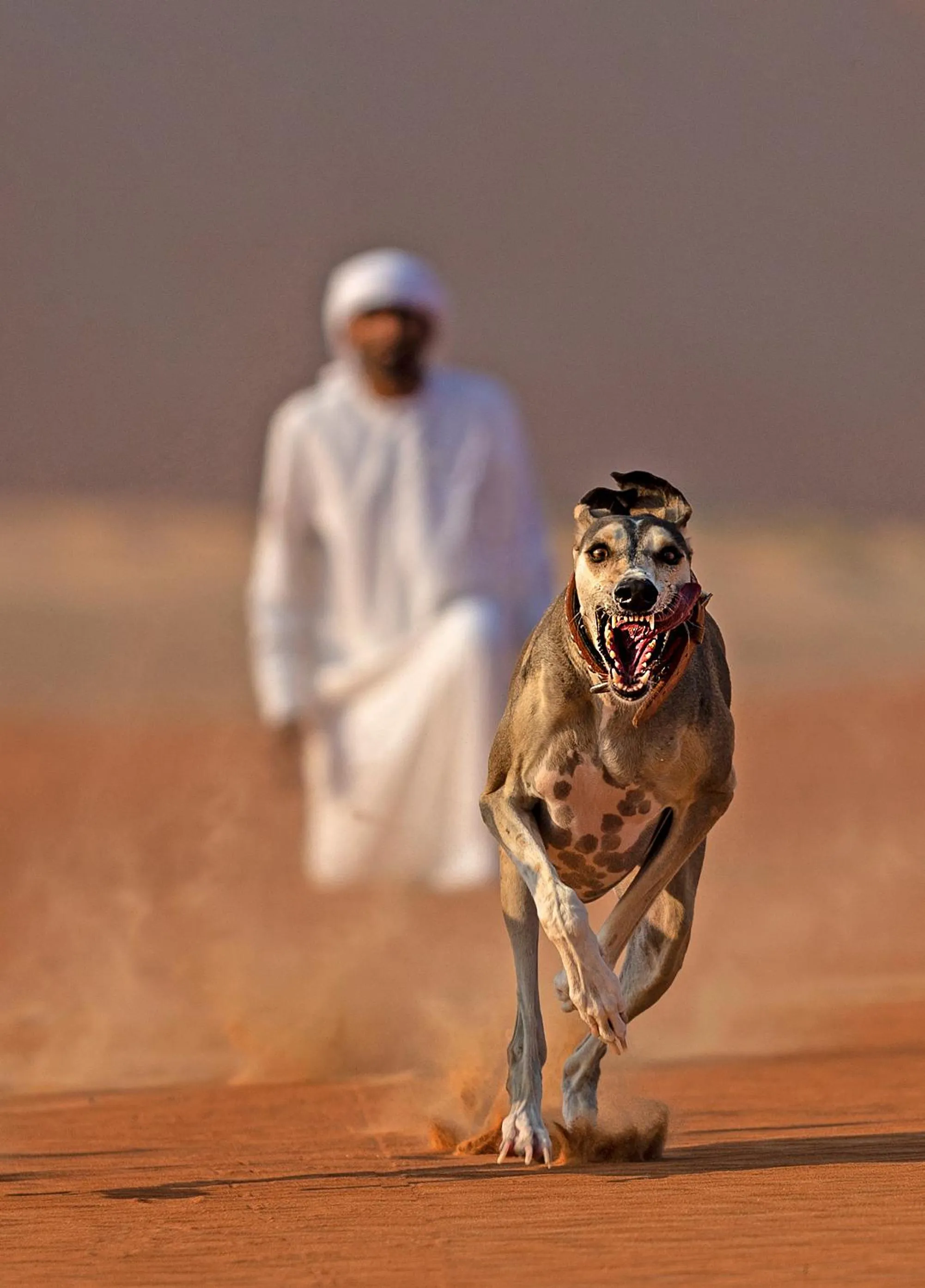 People in Anantara Qasr al Sarab Desert Resort