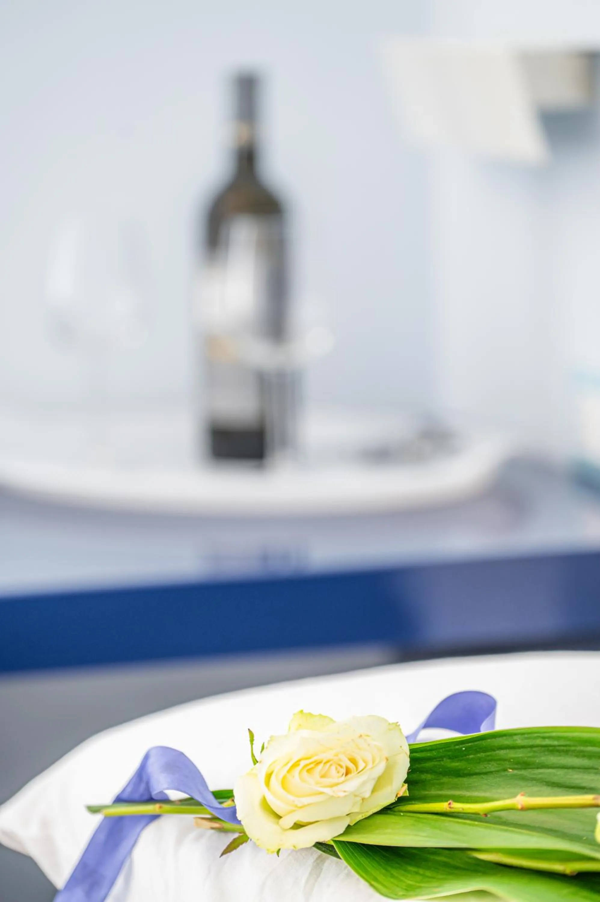 LINUS by BREATHE LIGURIA