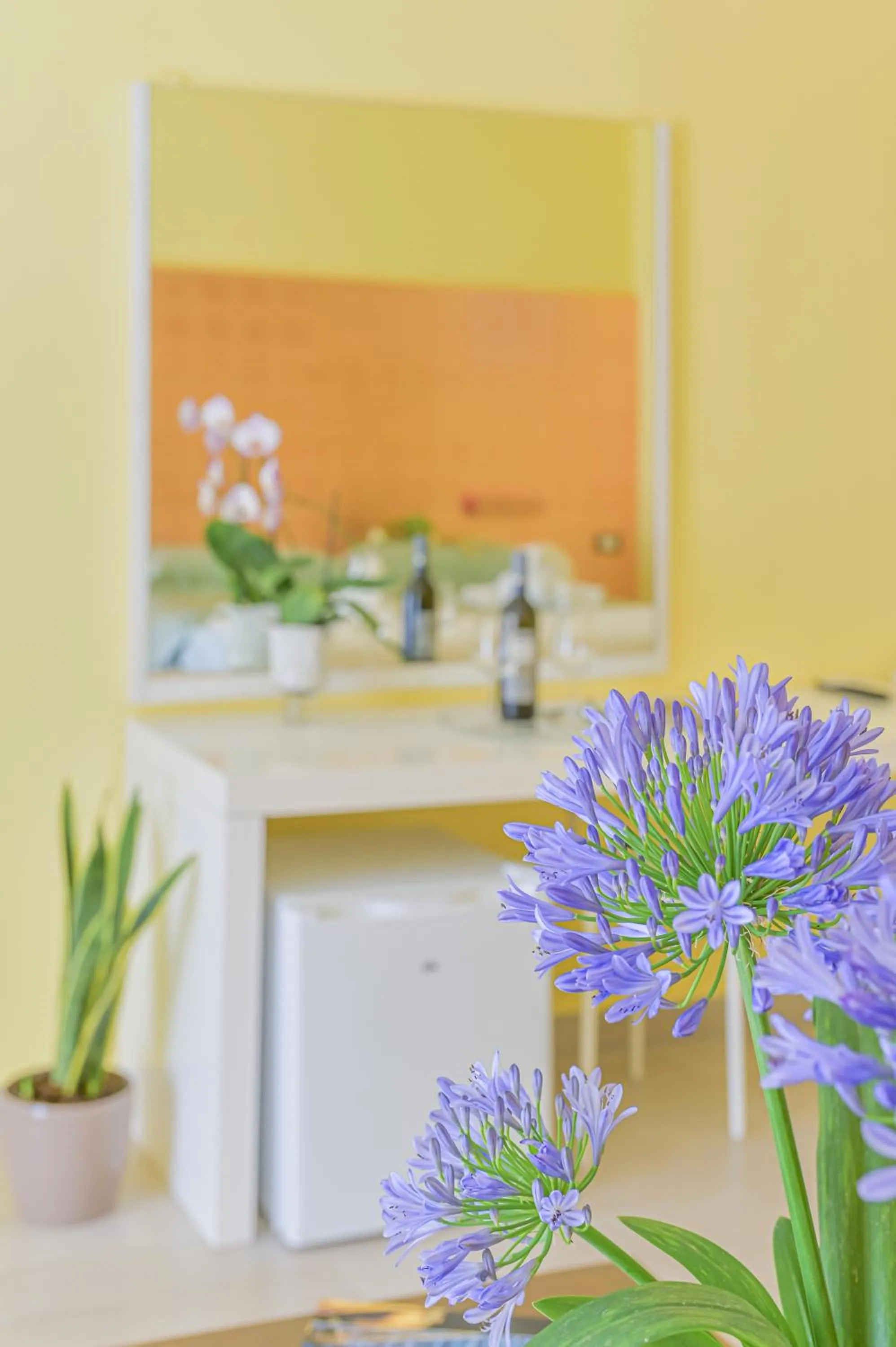 LINUS by BREATHE LIGURIA