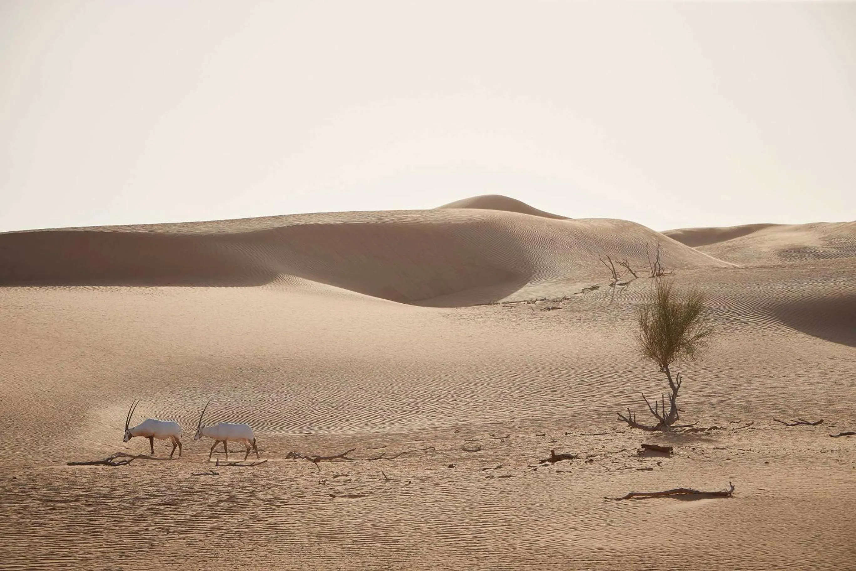 On site in Address Dubai Mall