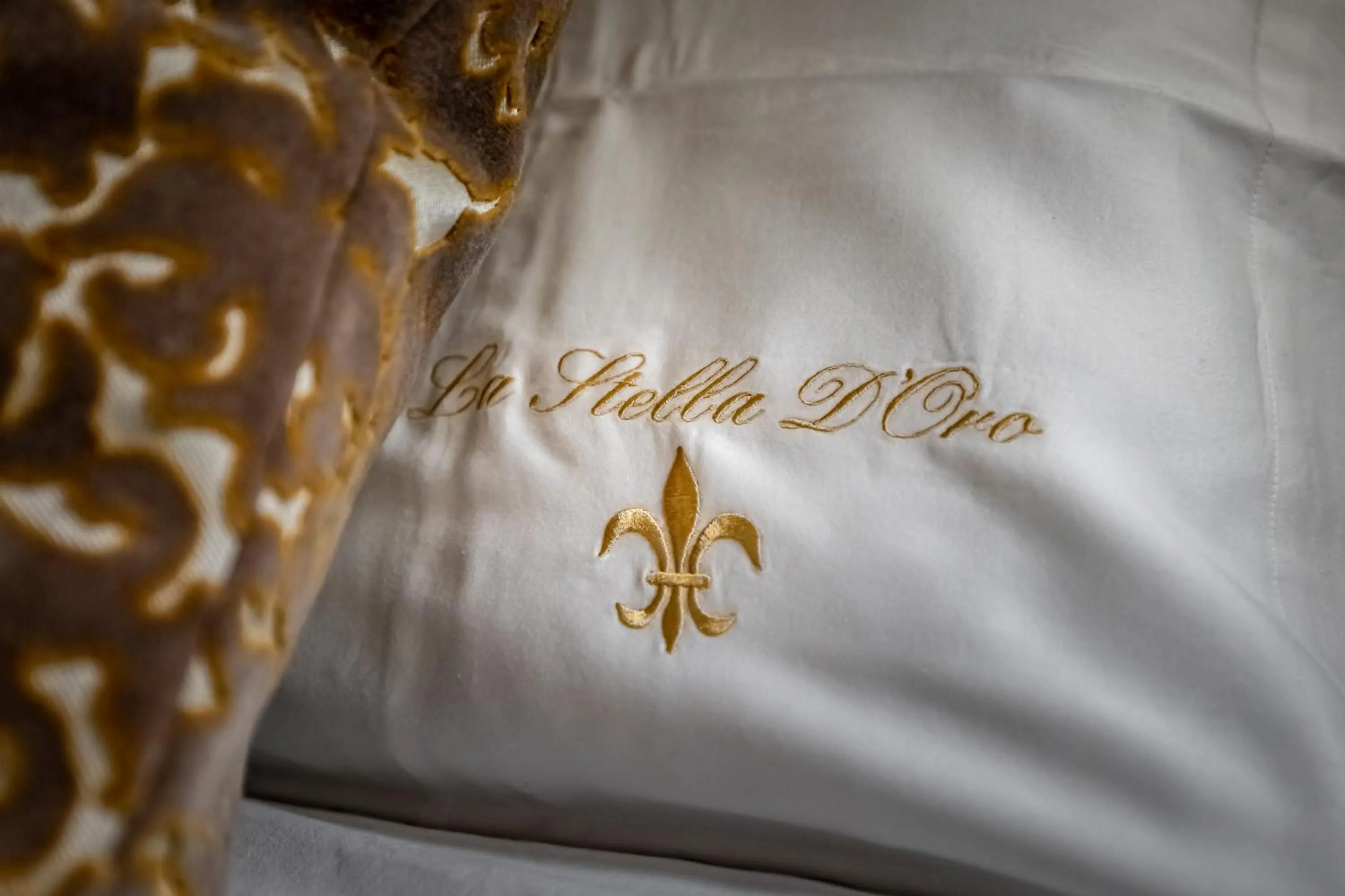 Property logo or sign, Bed in La Stella d'Oro B&B