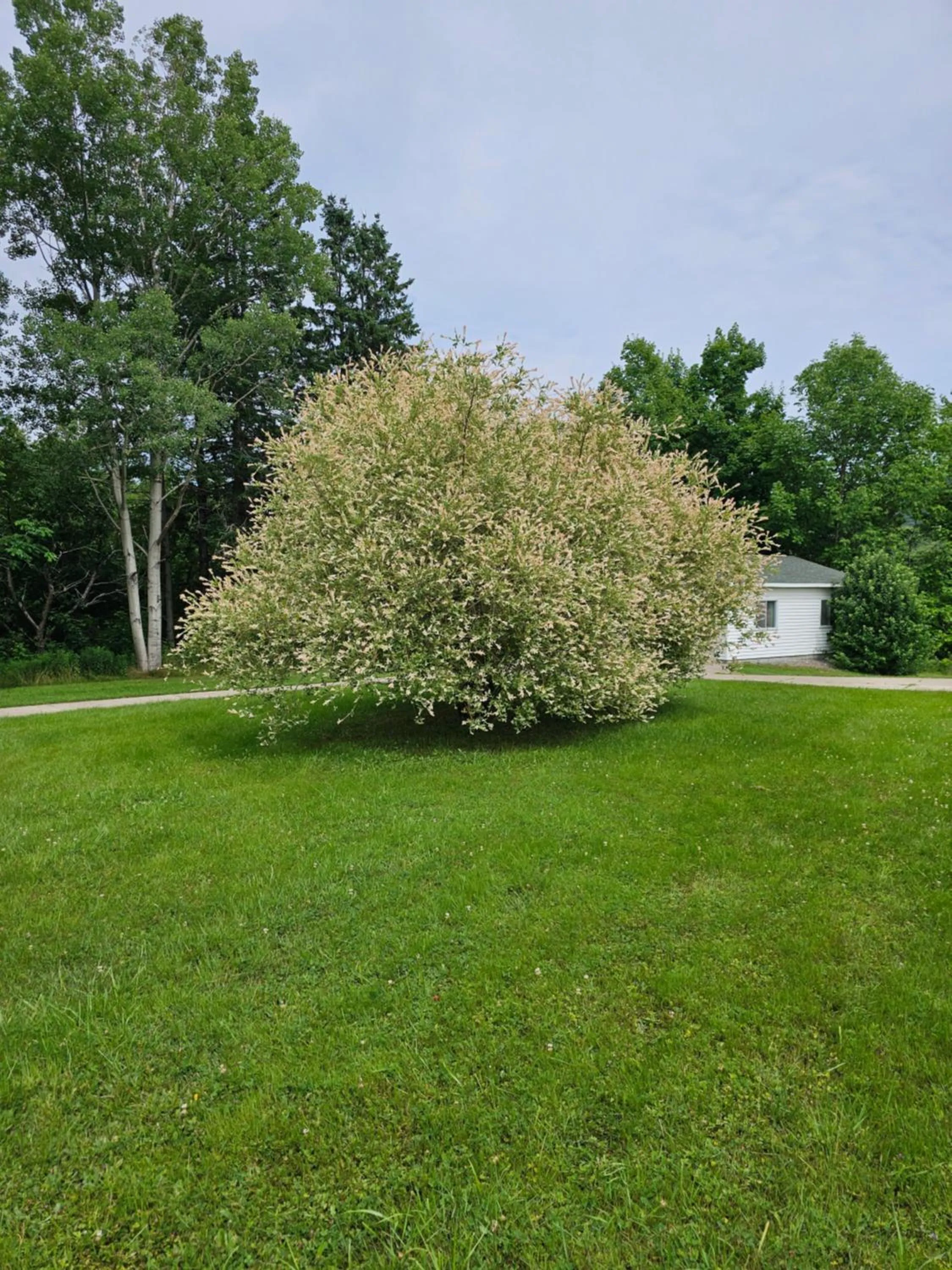 Natural landscape in Fair Isle Motel & The Nest