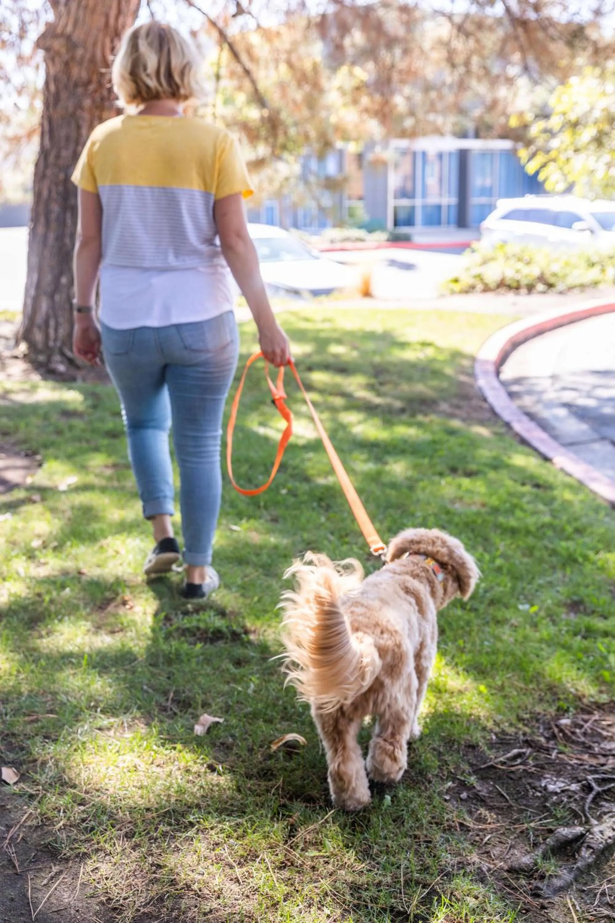 Property building in Sonesta Simply Suites Irvine East Foothill