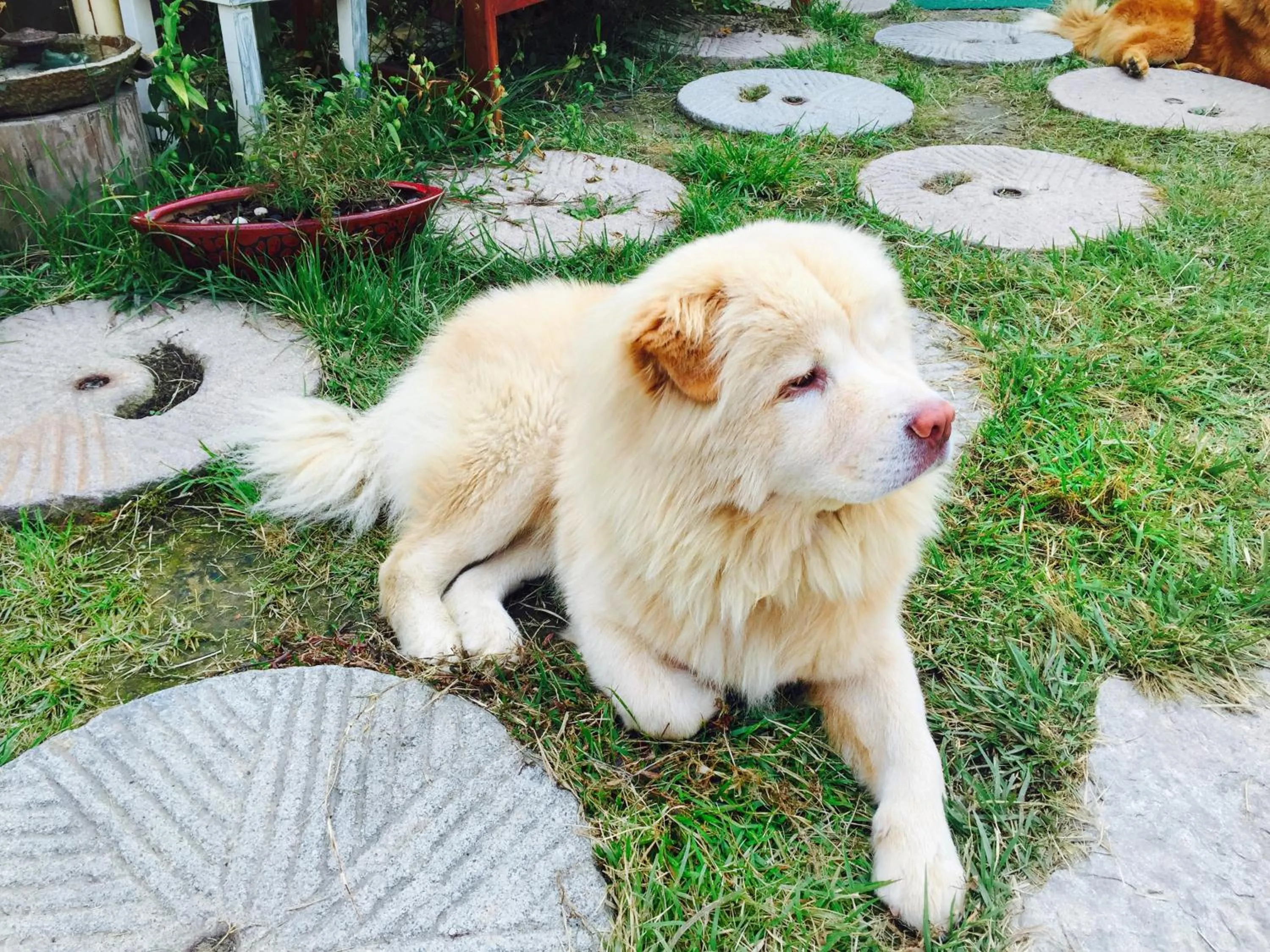 Property building in Dowon Guesthouse