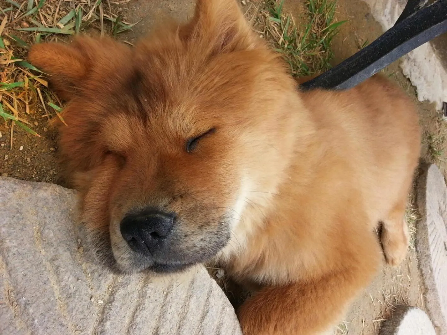 Property building in Dowon Guesthouse