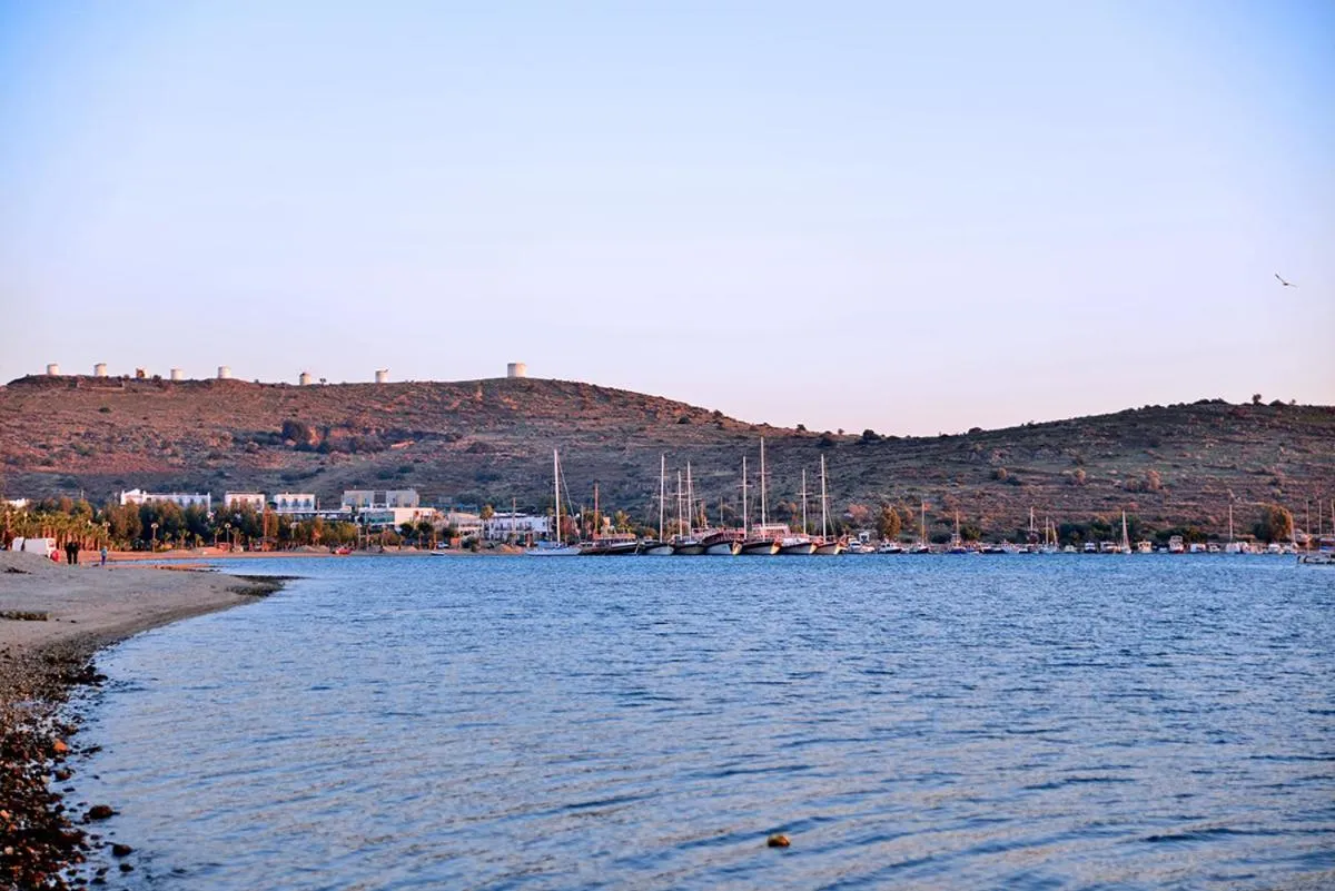 Natural landscape in M Suite